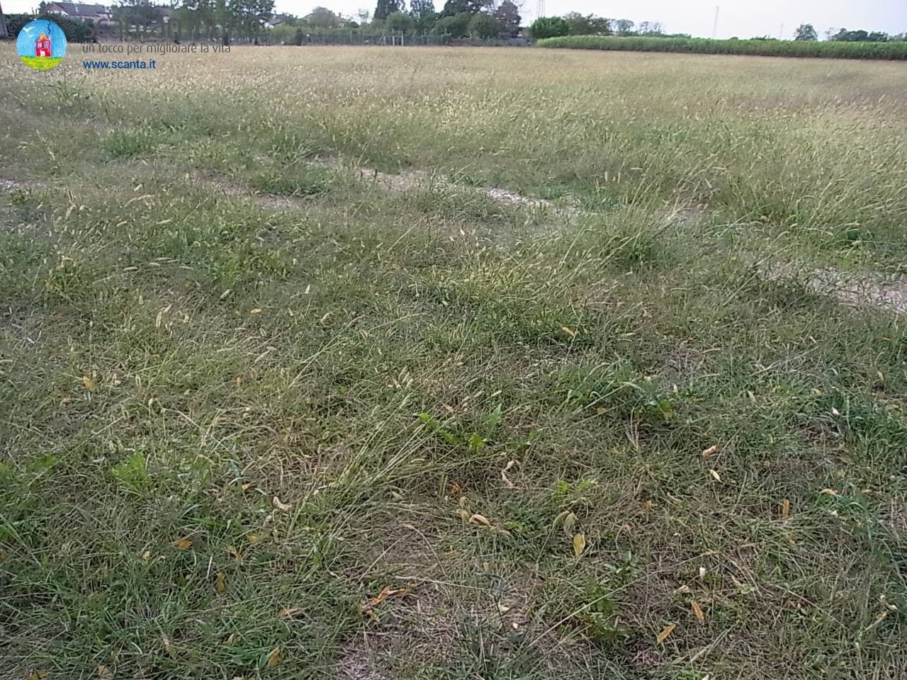 Terreno Agricolo in vendita a Quinto di Treviso