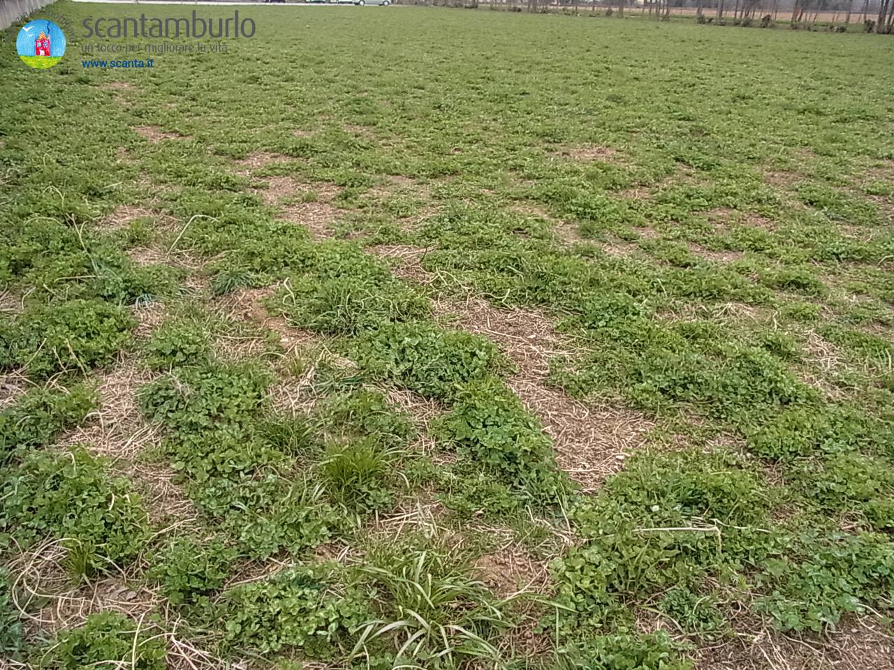 Terreno edificabile industriale in vendita a Paese