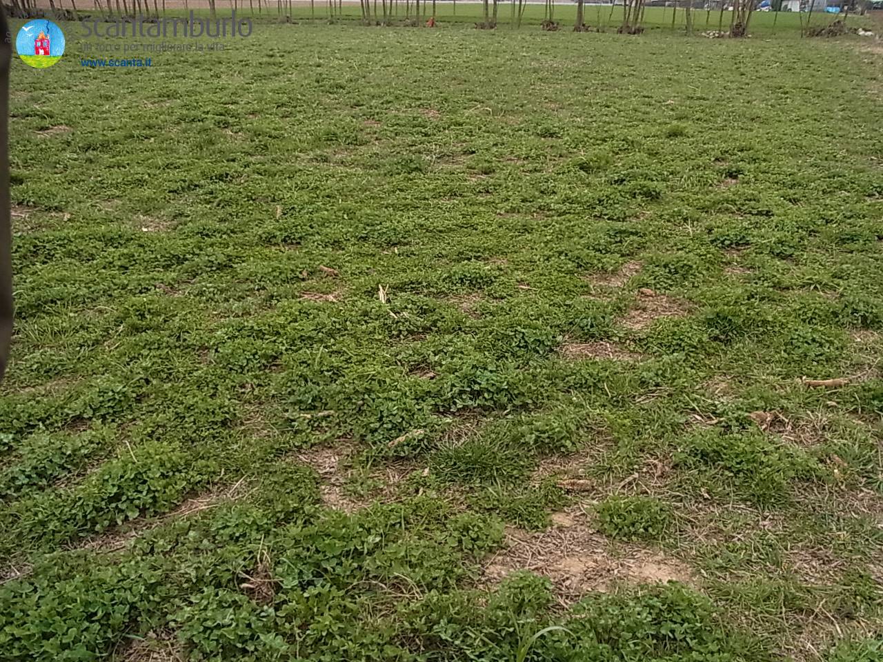 Terreno edificabile industriale in vendita a Paese