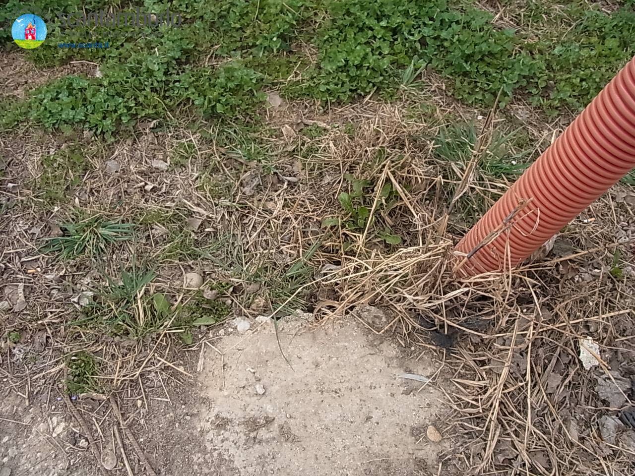 Terreno edificabile industriale in vendita a Paese