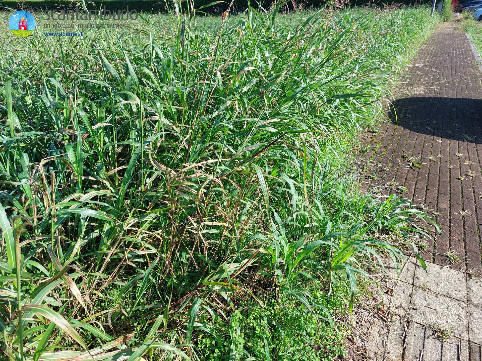 Terreno edificabile residenziale in vendita a Ponzano Veneto, Paderno (capoluogo)