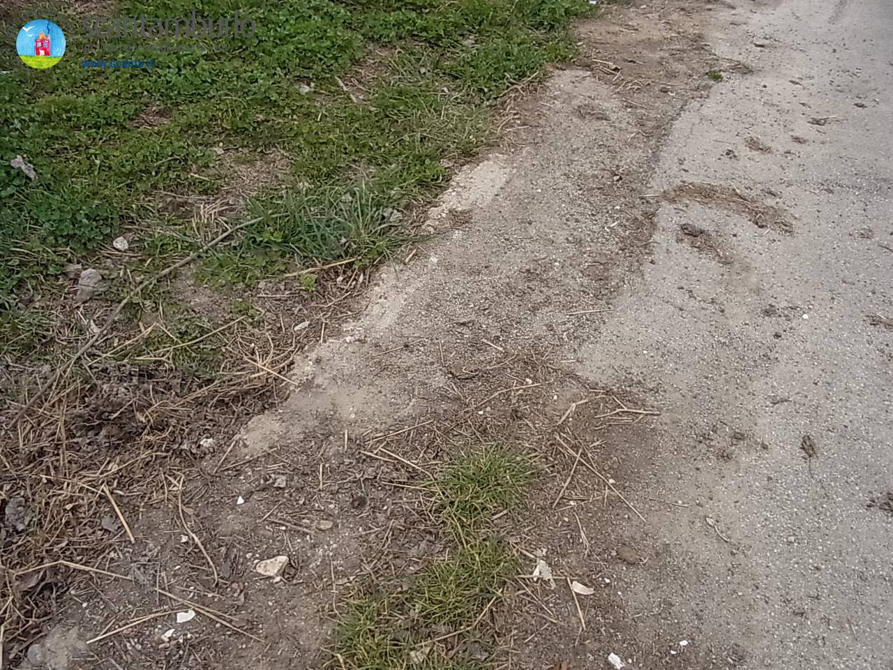 immagine annuncio 5 di 8