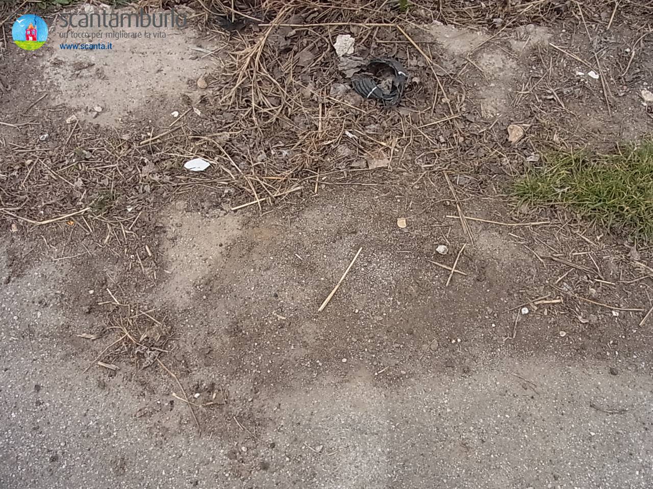 immagine annuncio 6 di 8