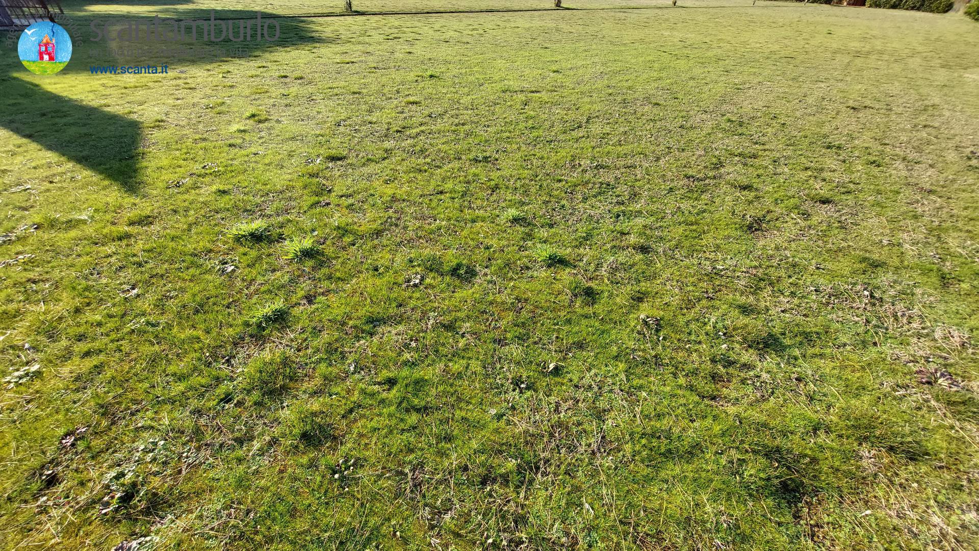 Terreno edificabile residenziale-artigianale in vendita a Cavallino-Treporti