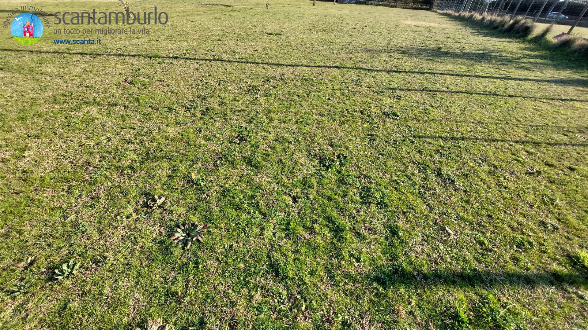 Terreno edificabile residenziale-artigianale in vendita a Cavallino-Treporti