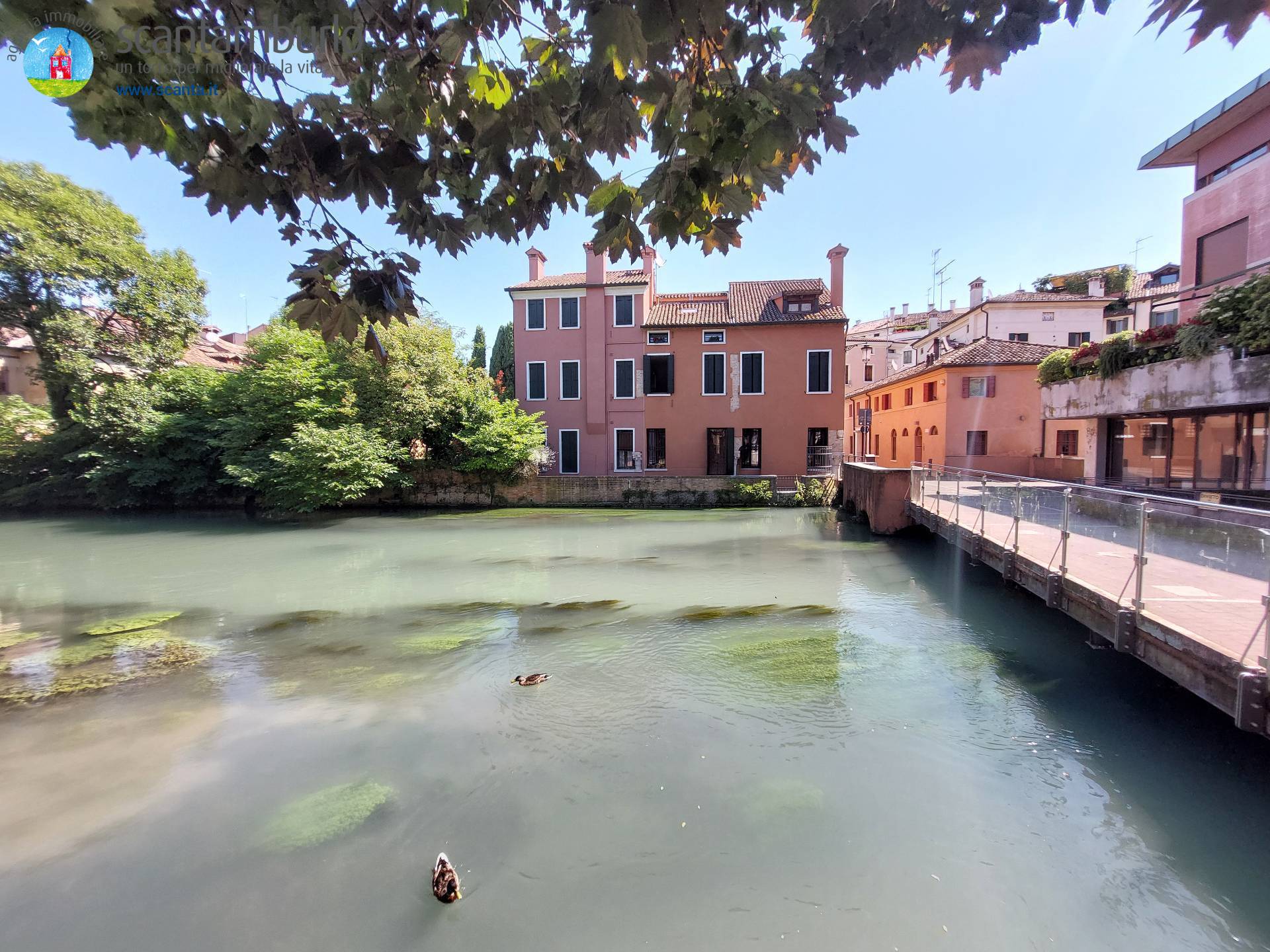 Negozio in vendita a Treviso, Centro storico
