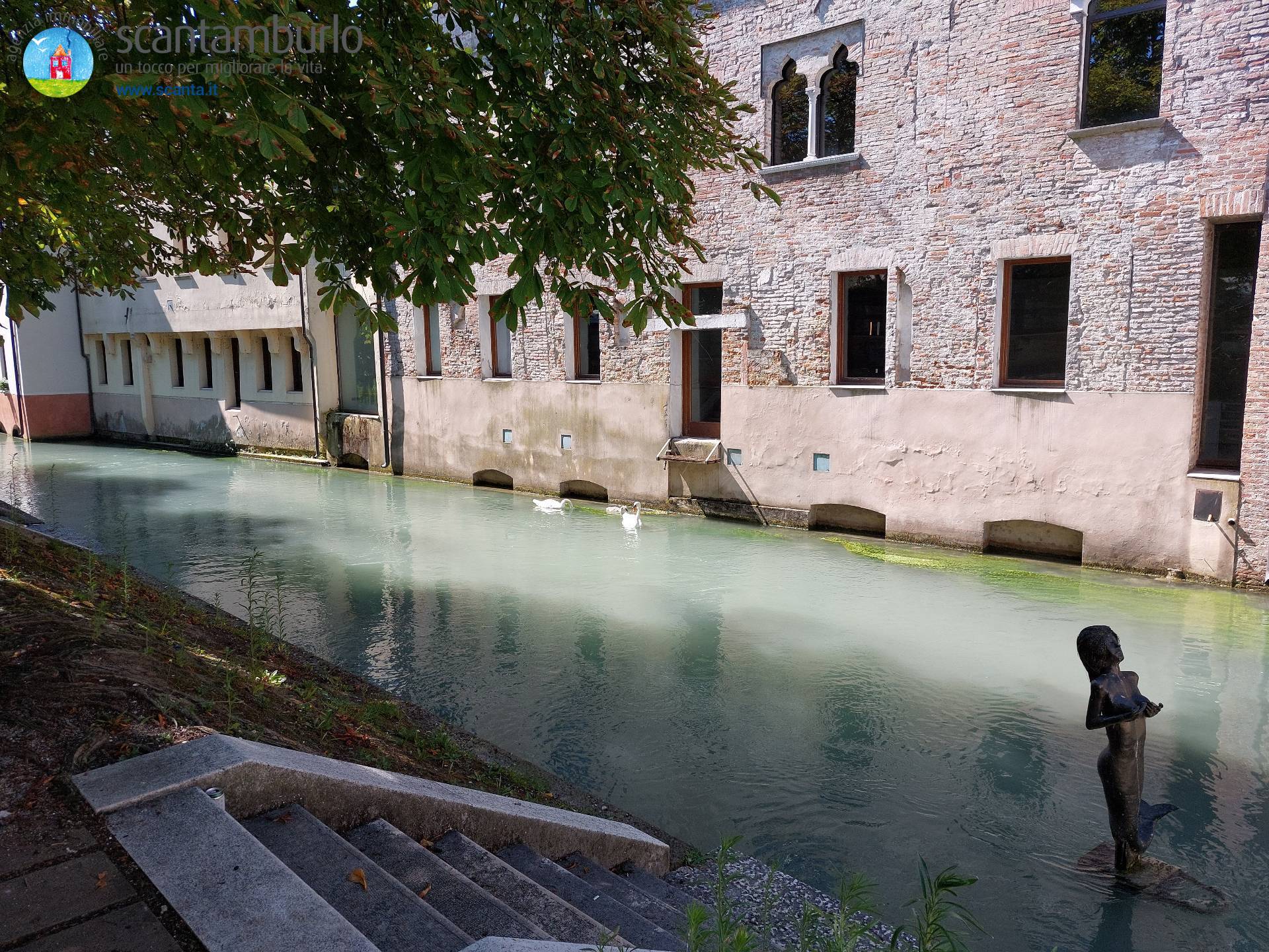Negozio in vendita a Treviso, Centro storico