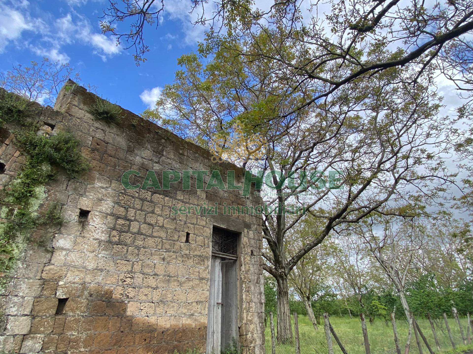 Terreno in vendita a Palma Campania