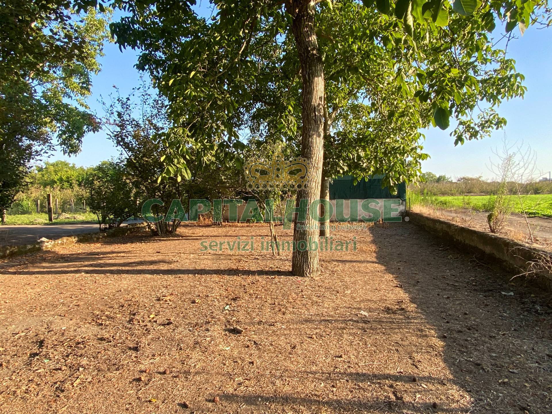 Terreno in vendita a Palma Campania