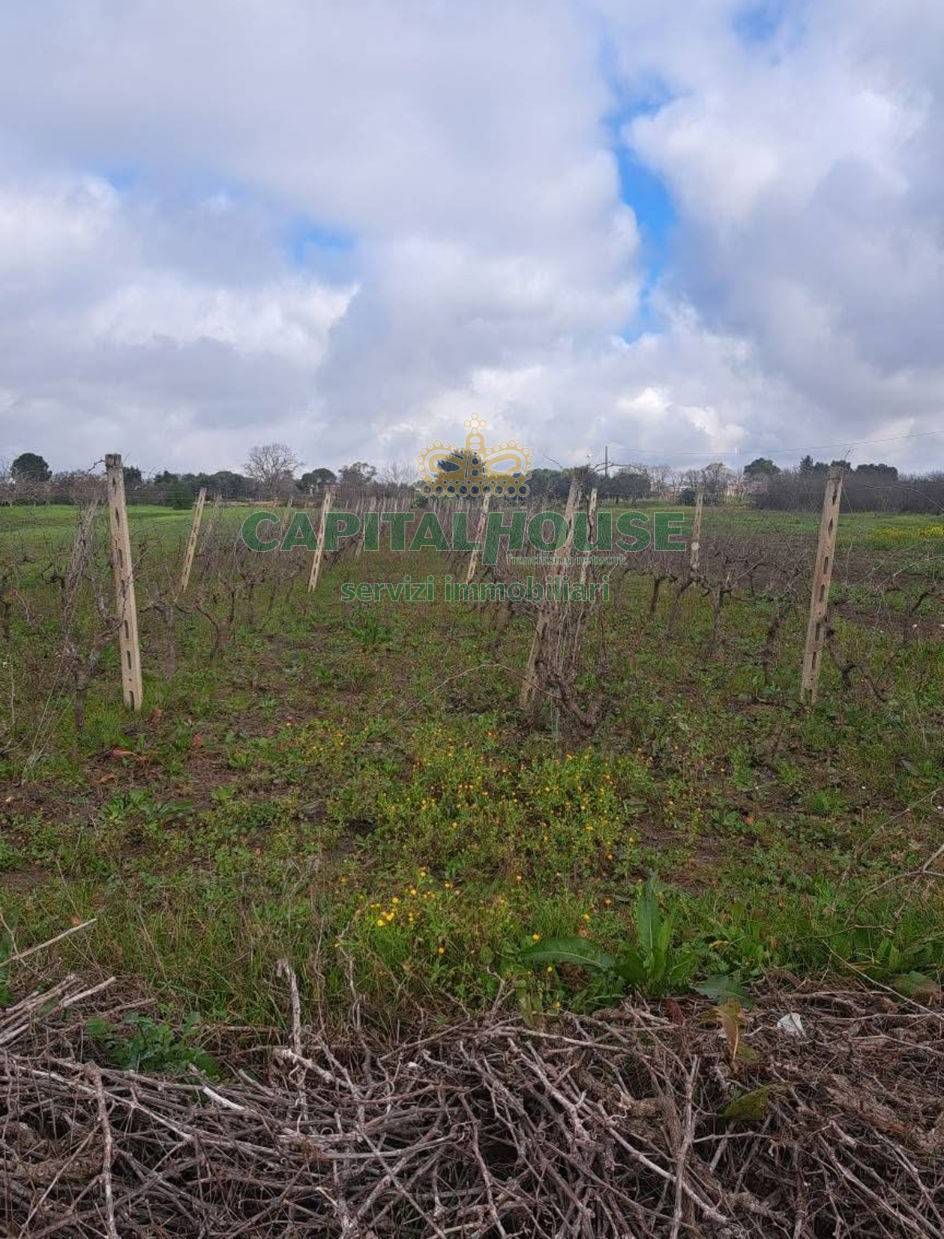 Terreno agricolo in vendita a Palma Campania