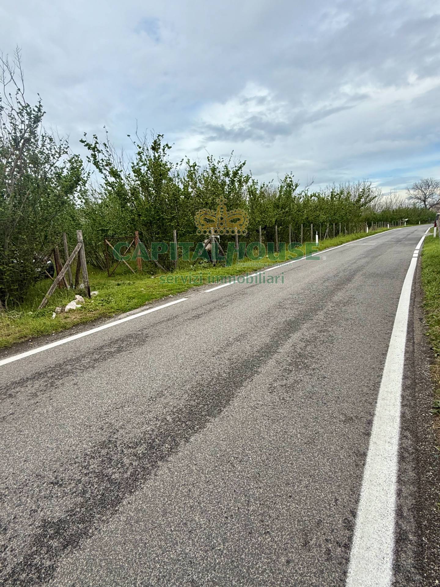 immagine annuncio 1 di 6
