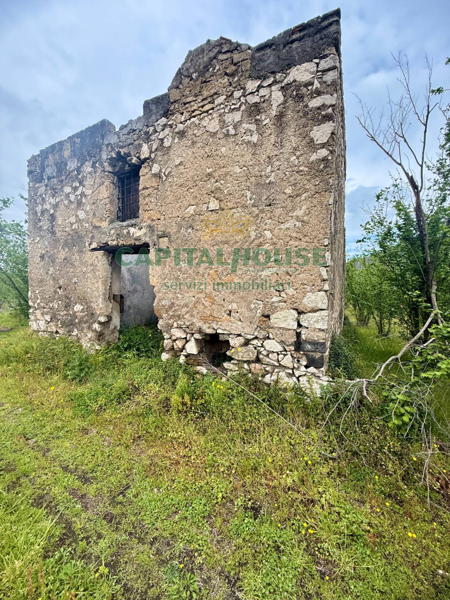 immagine annuncio 4 di 6