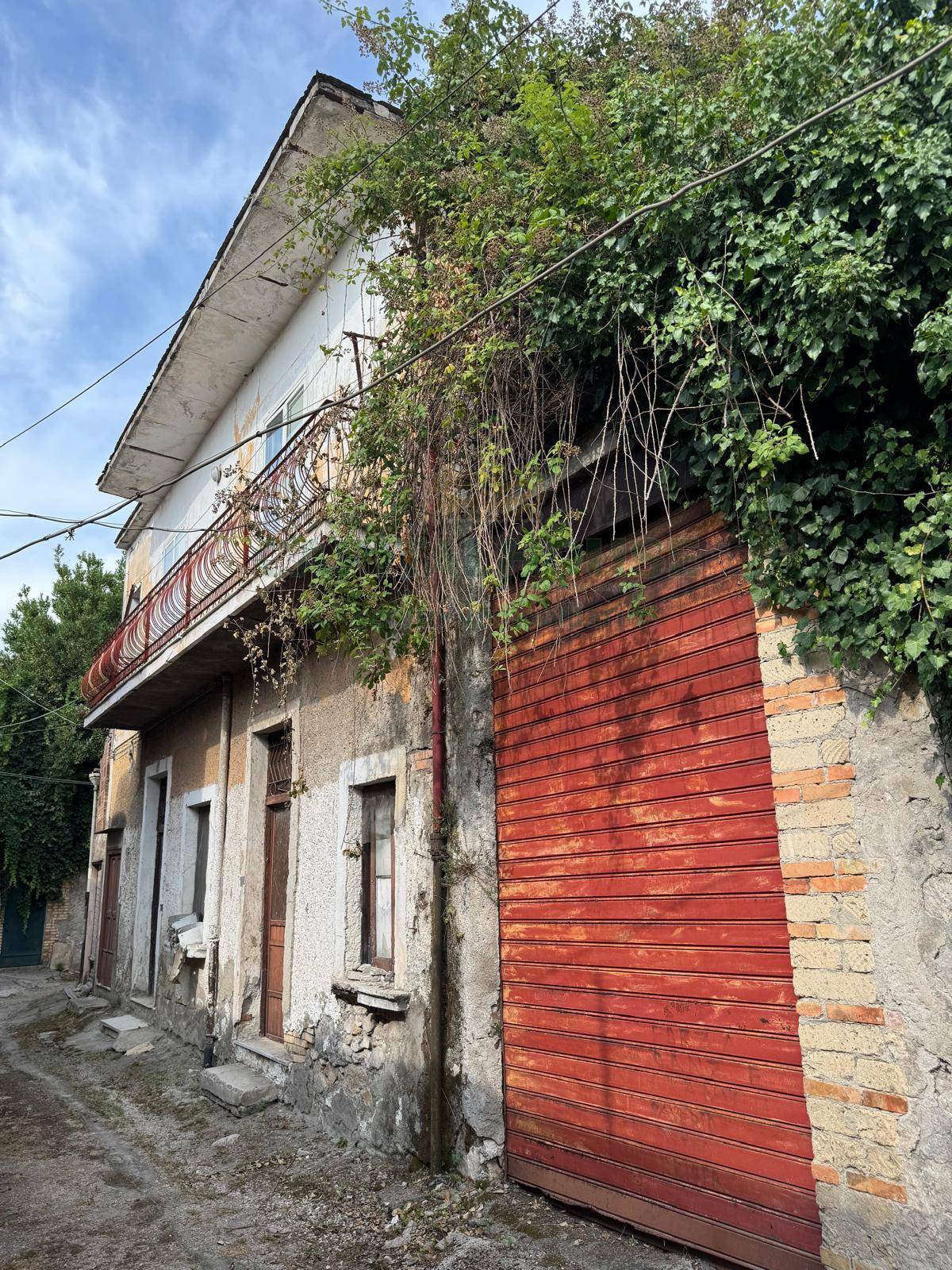 immagine annuncio 2 di 4