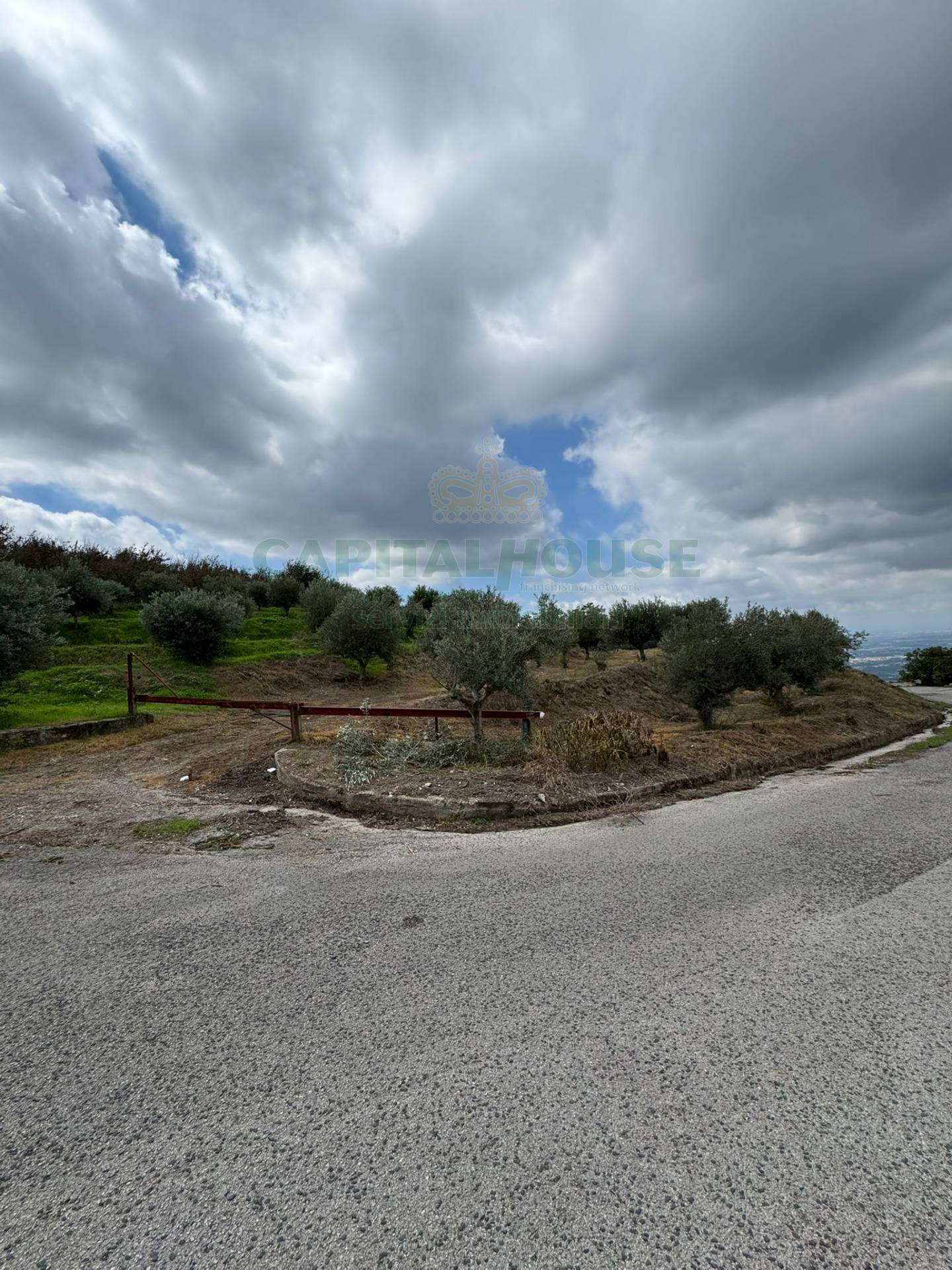 Terreno agricolo in vendita a Domicella