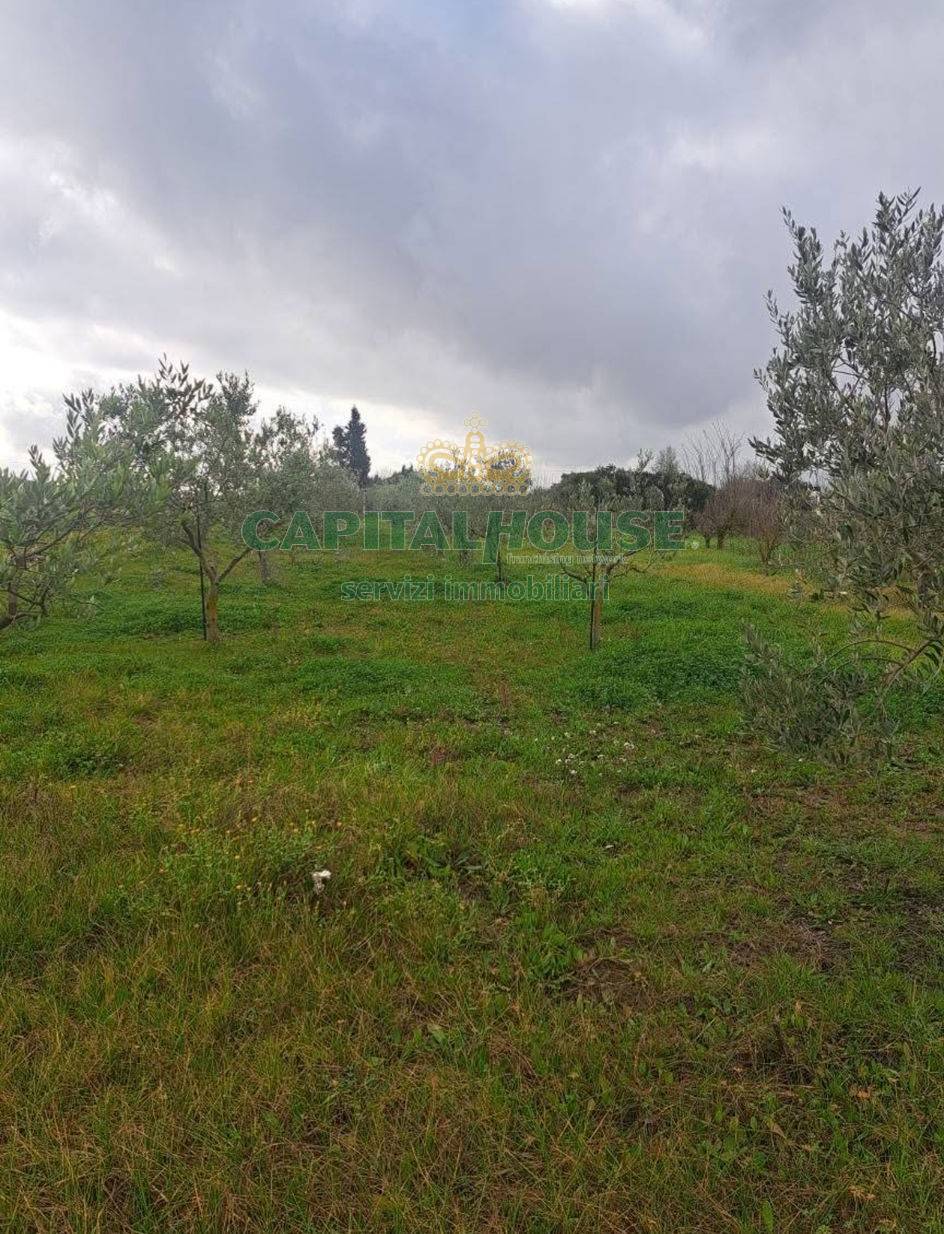 Terreno agricolo in vendita a Palma Campania