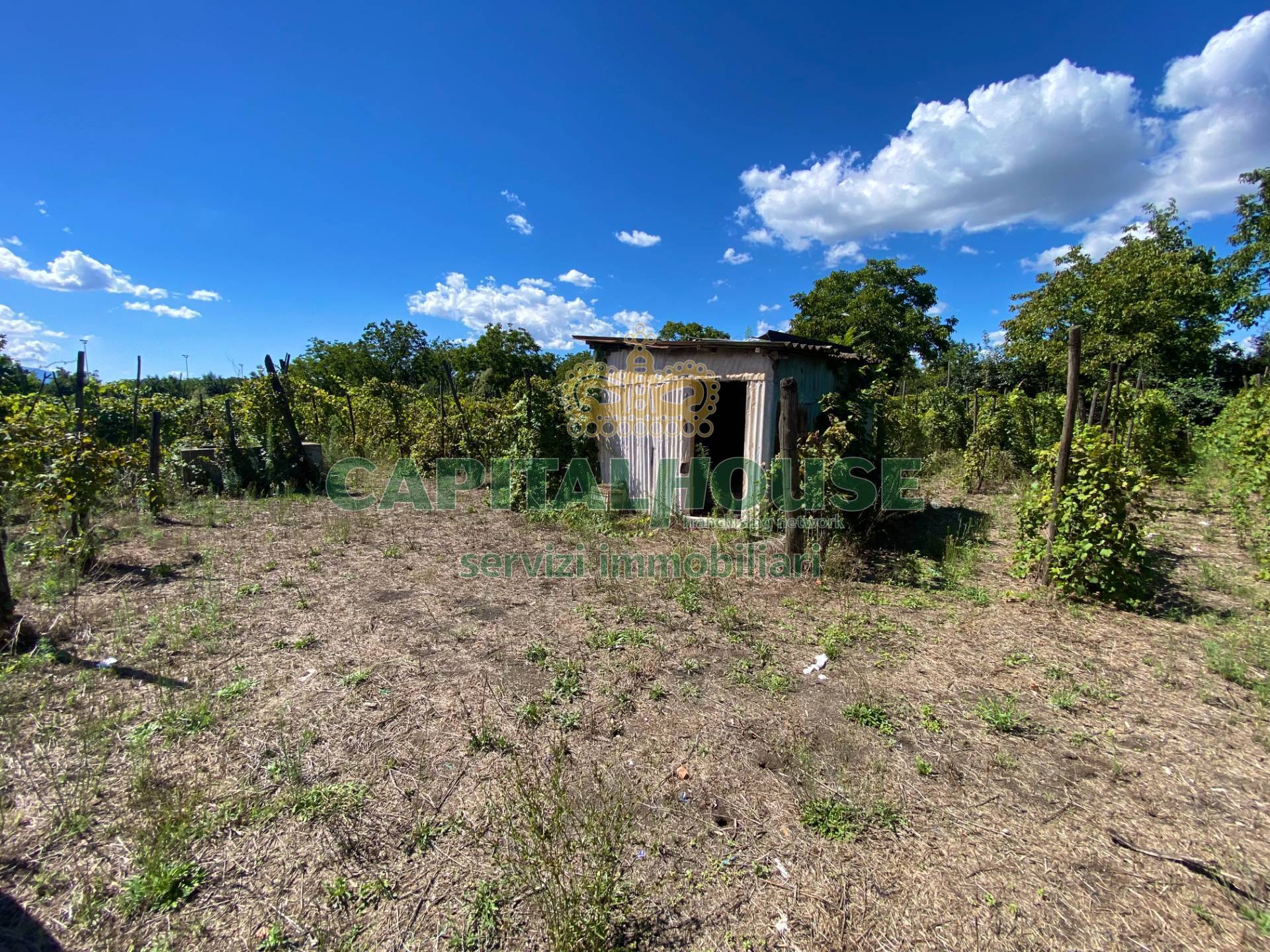 Terreno agricolo in vendita a Palma Campania