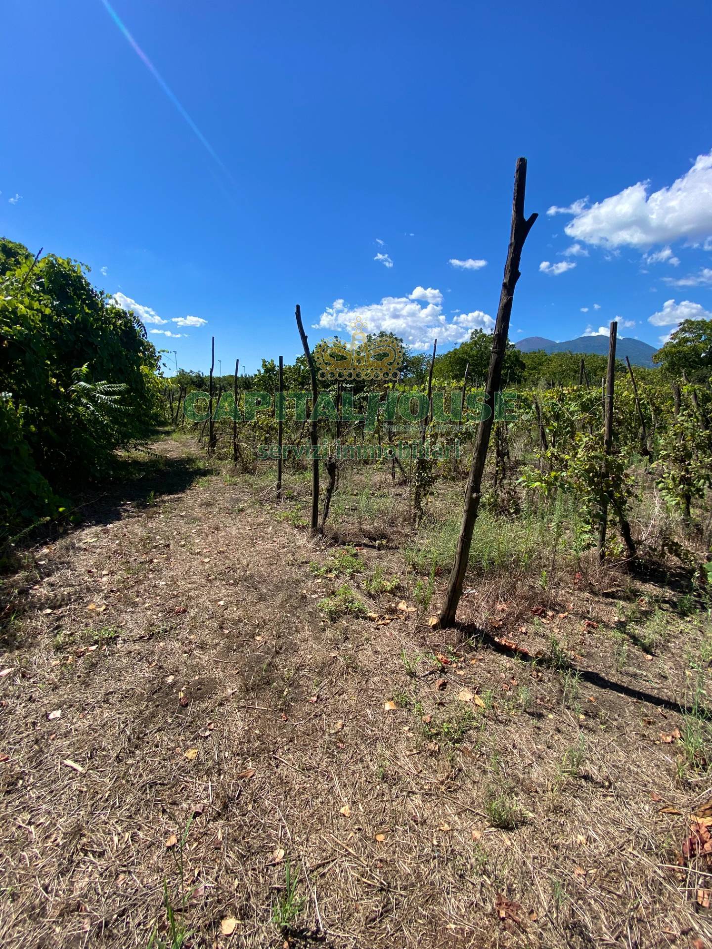 Terreno agricolo in vendita a Palma Campania