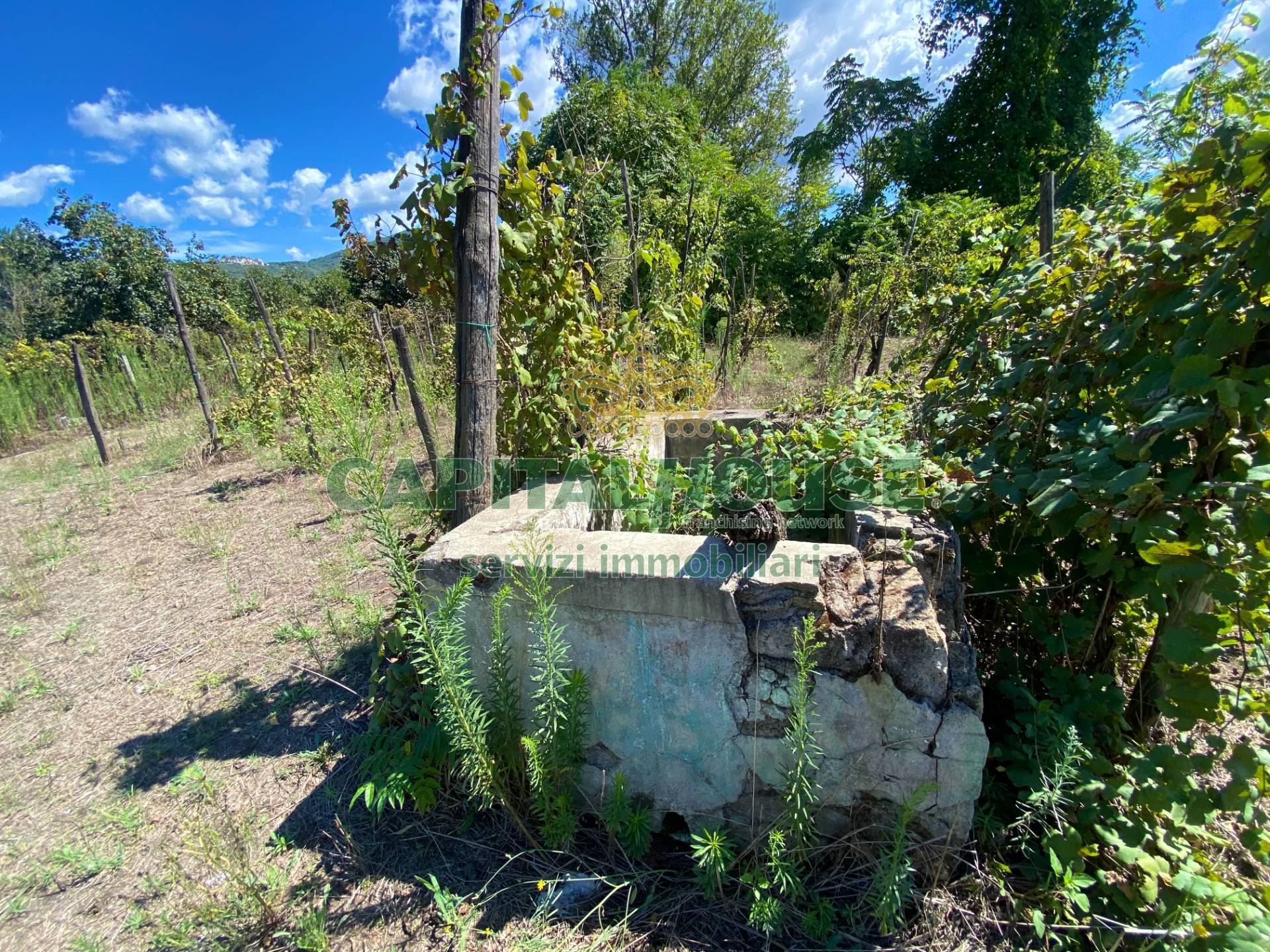 Terreno agricolo in vendita a Palma Campania