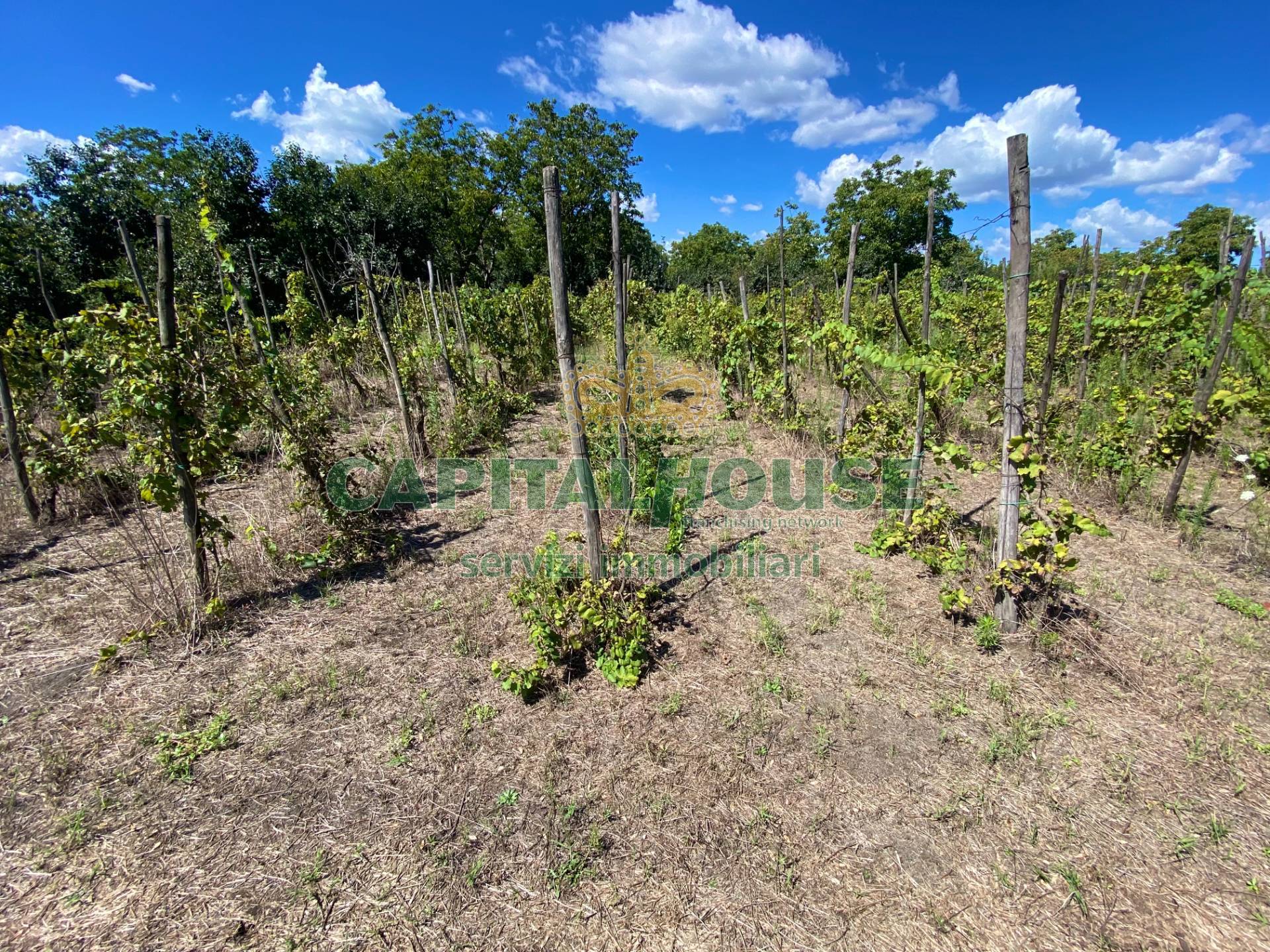 Terreno agricolo in vendita a Palma Campania