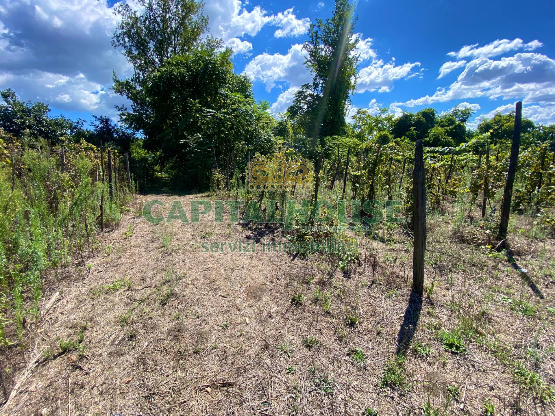 Terreno agricolo in vendita a Palma Campania