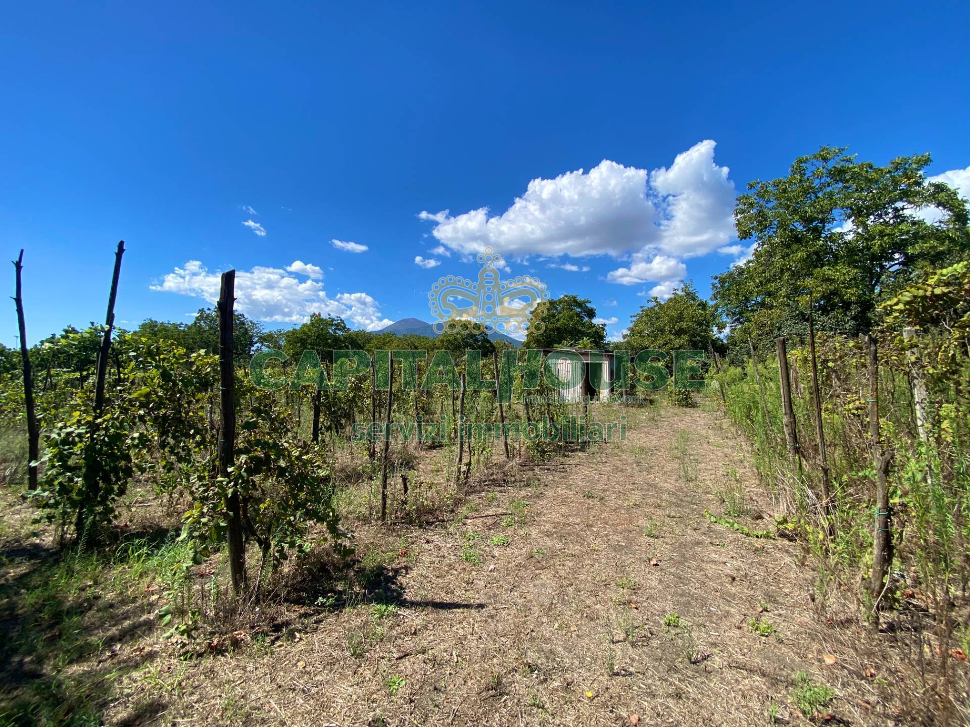 Terreno agricolo in vendita a Palma Campania