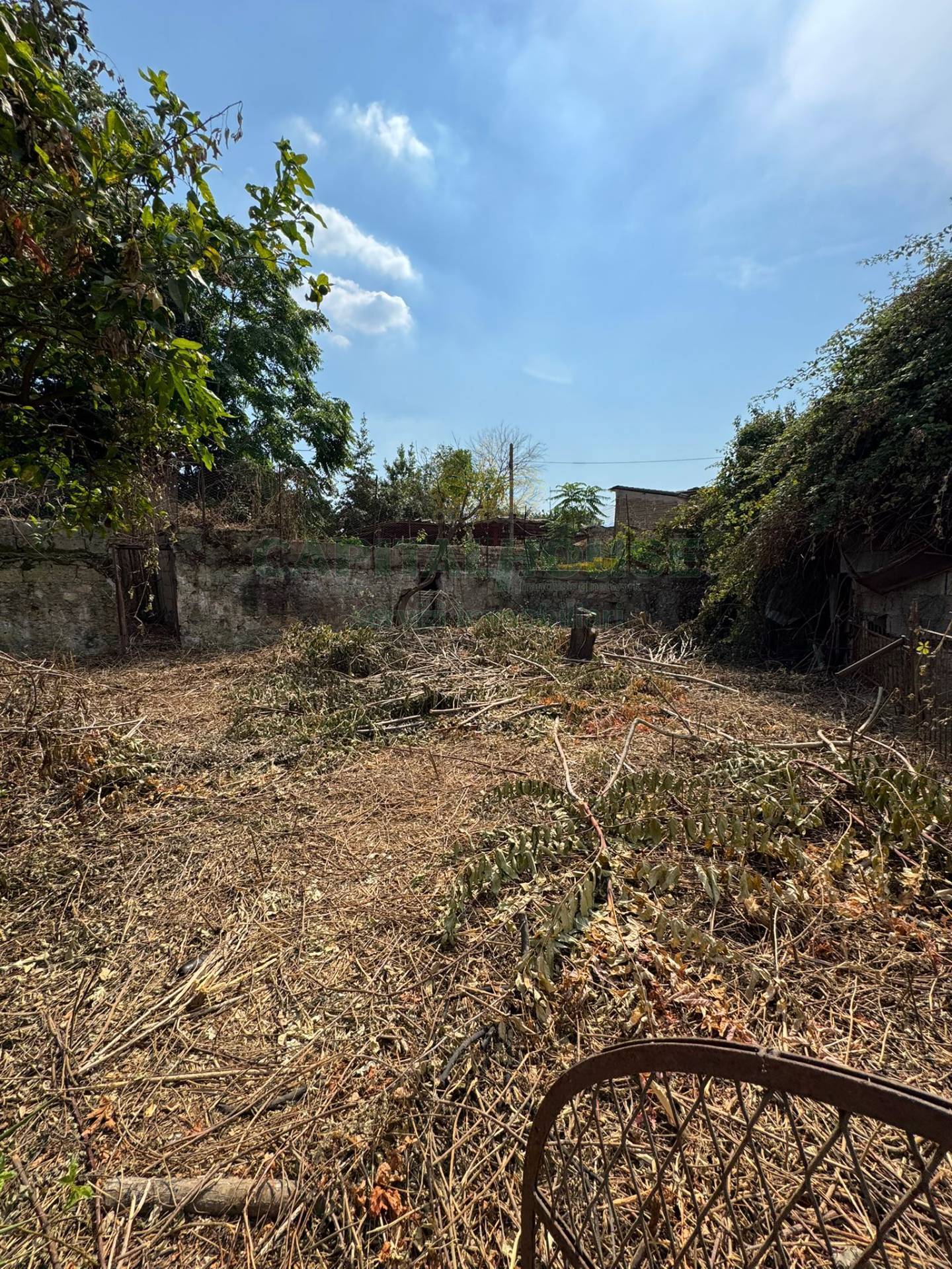 S.Indipendente in vendita a Palma Campania