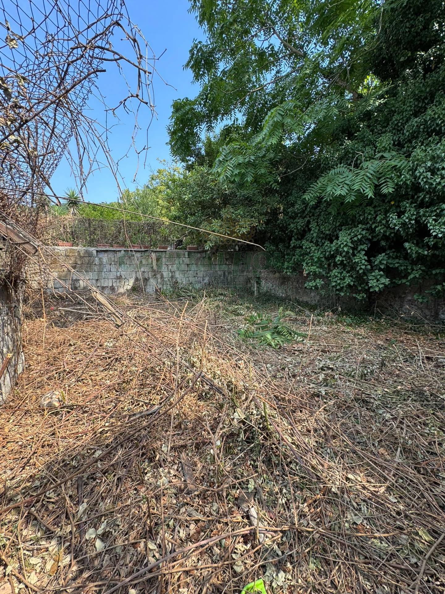 S.Indipendente in vendita a Palma Campania