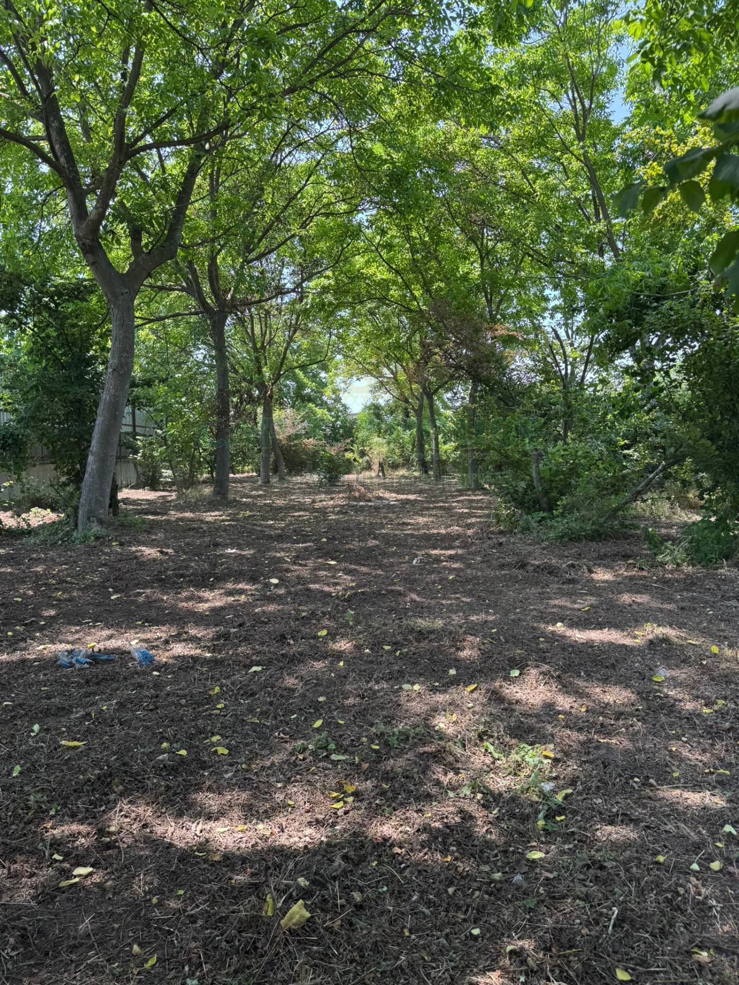 Terreno edificabile in vendita a Pago del Vallo di Lauro