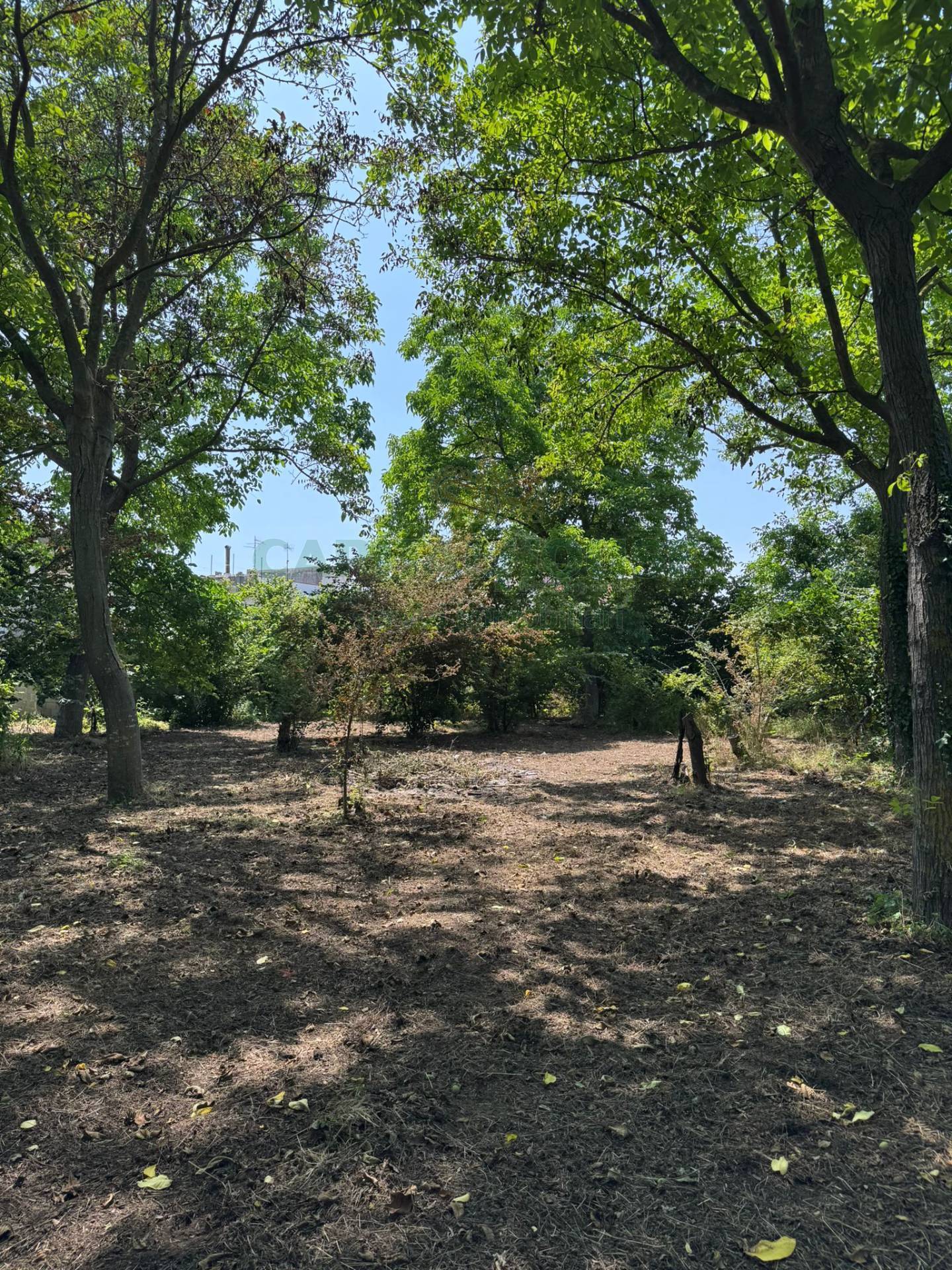 Terreno edificabile in vendita a Pago del Vallo di Lauro
