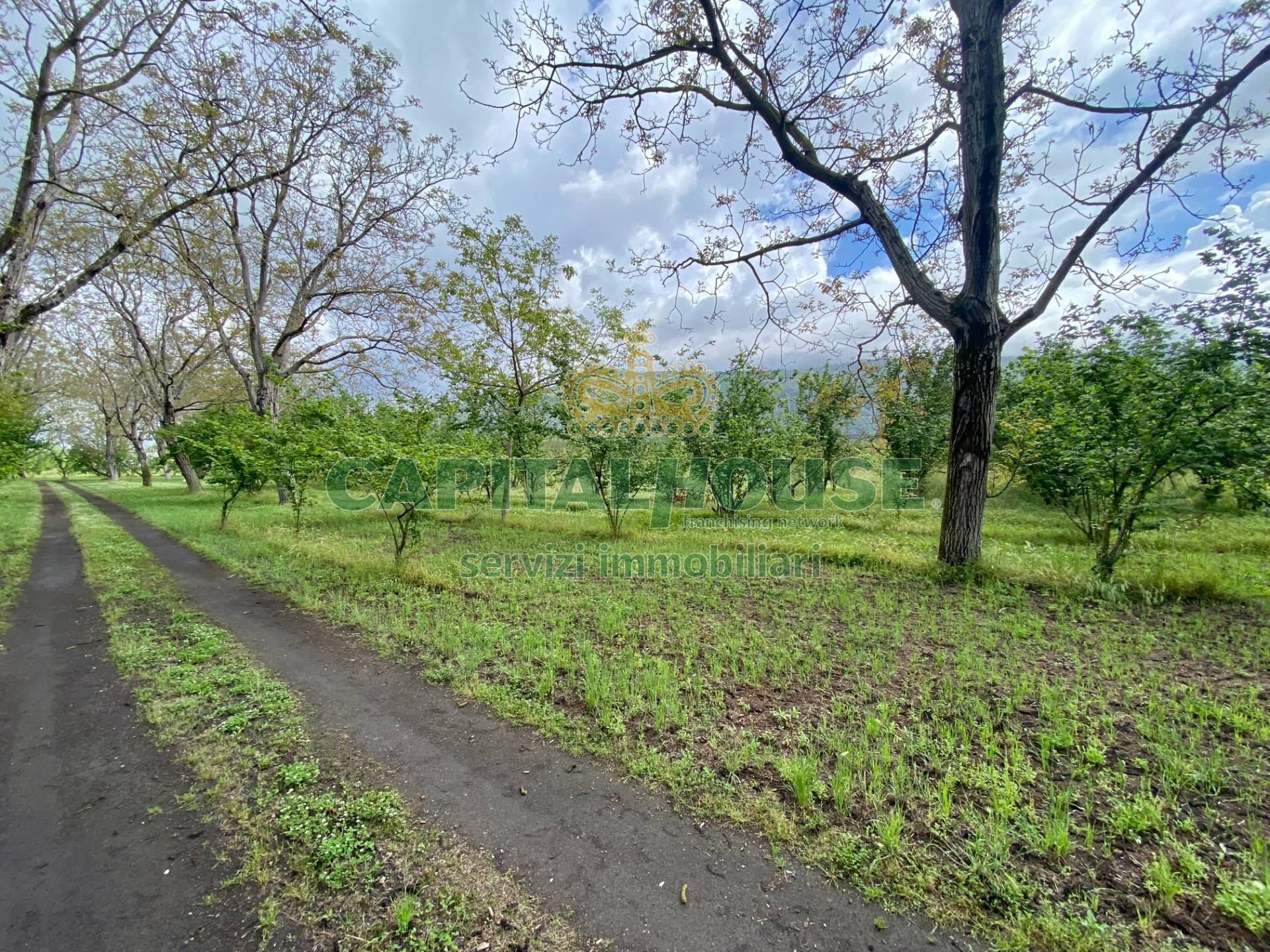 Terreno agricolo in vendita a Palma Campania