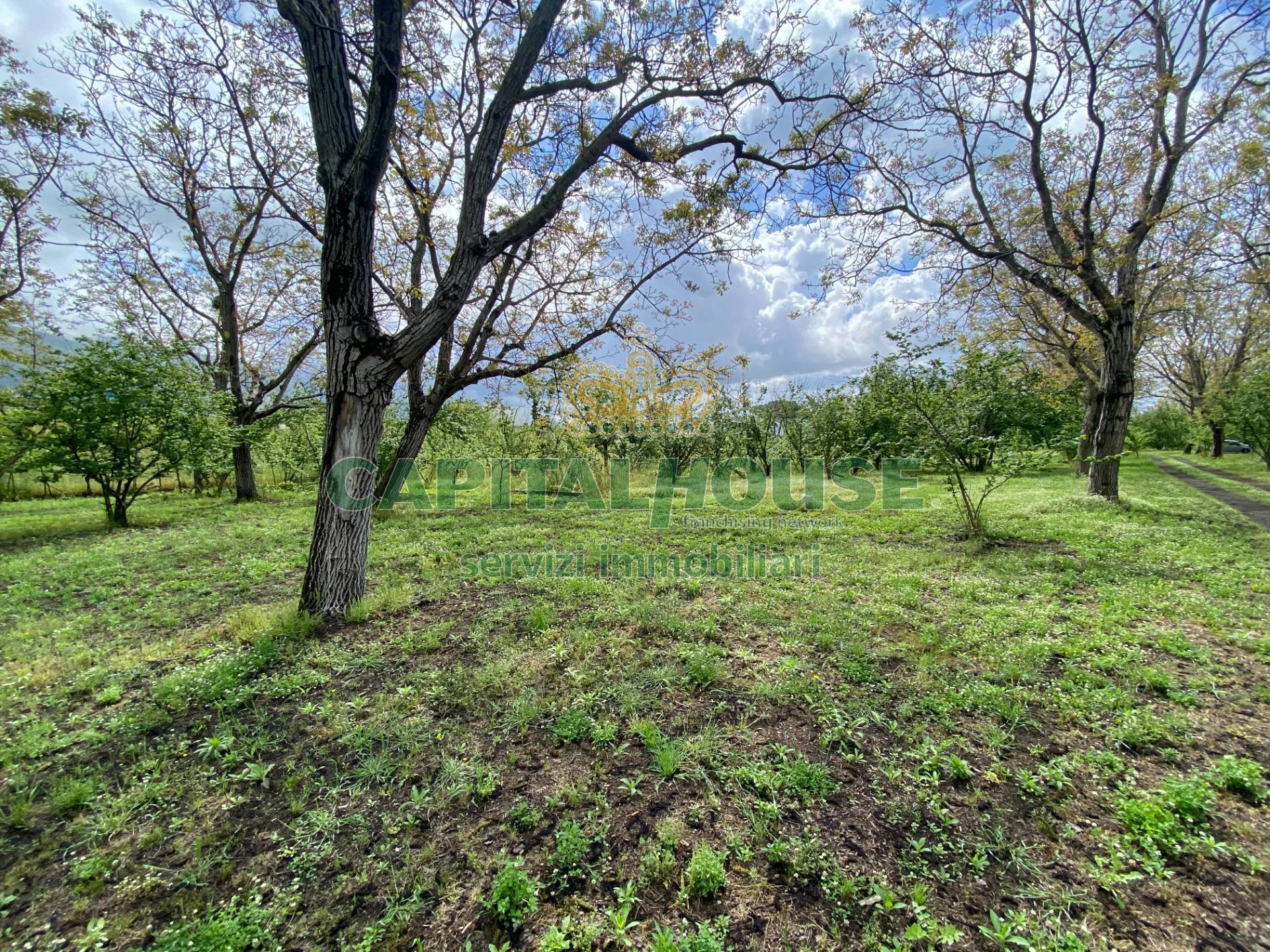 Terreno agricolo in vendita a Palma Campania