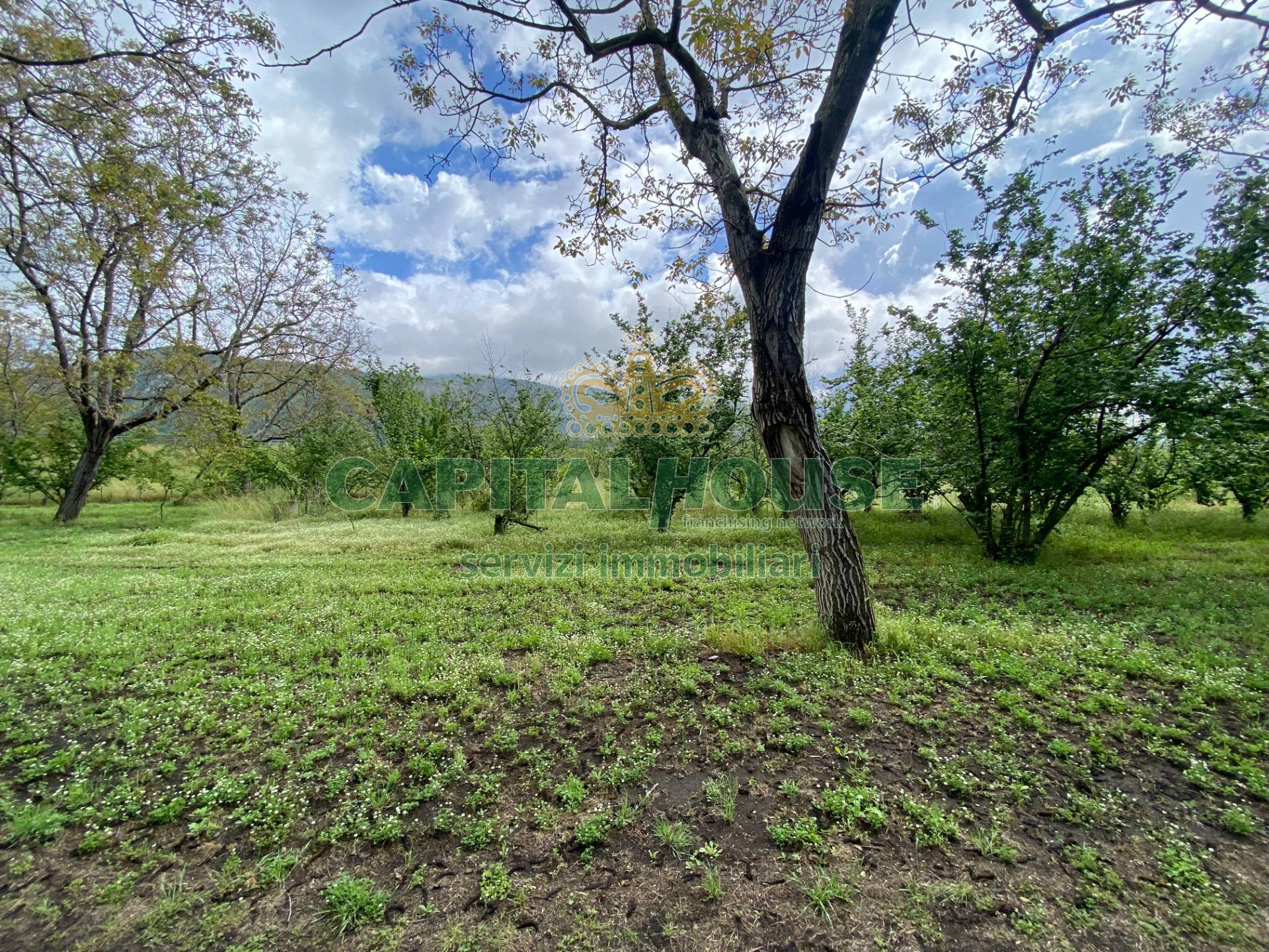 Terreno agricolo in vendita a Palma Campania