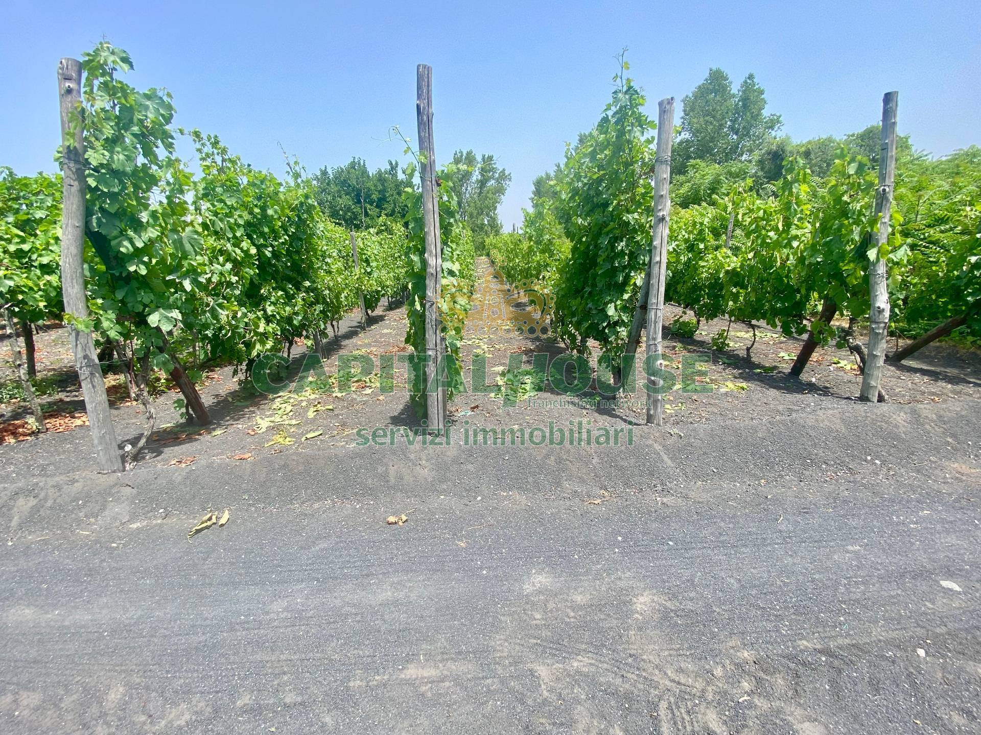 Terreno agricolo in vendita a Terzigno