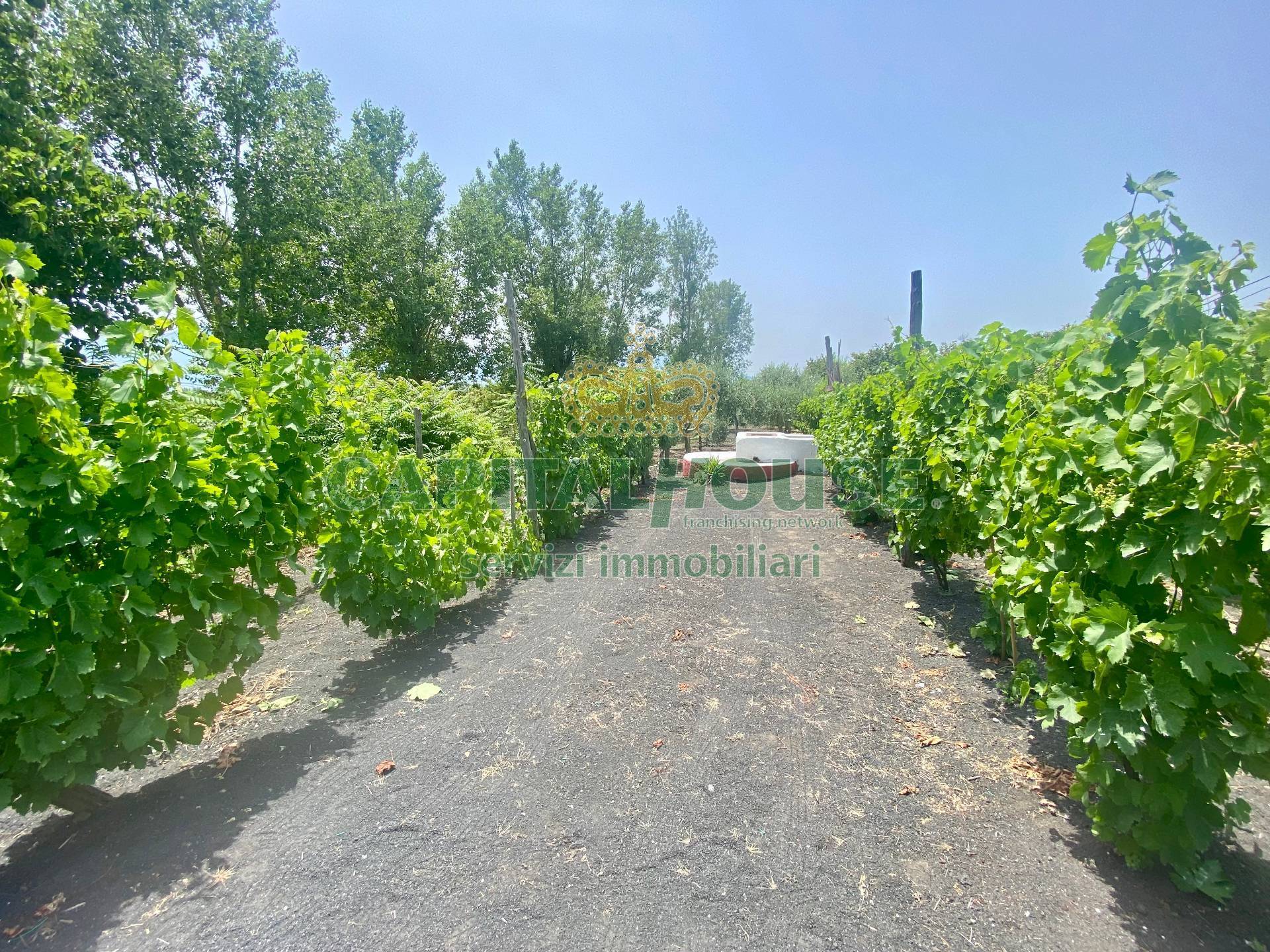 Terreno agricolo in vendita a Terzigno