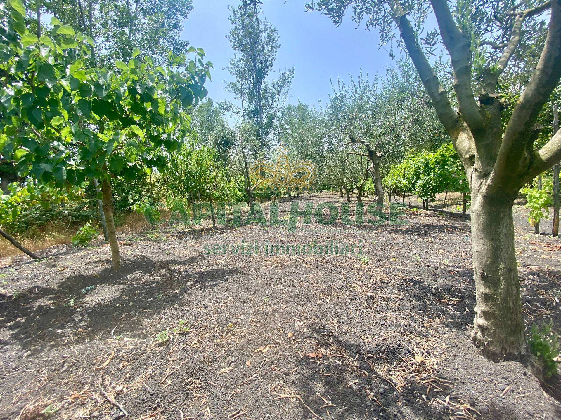 Terreno agricolo in vendita a Terzigno