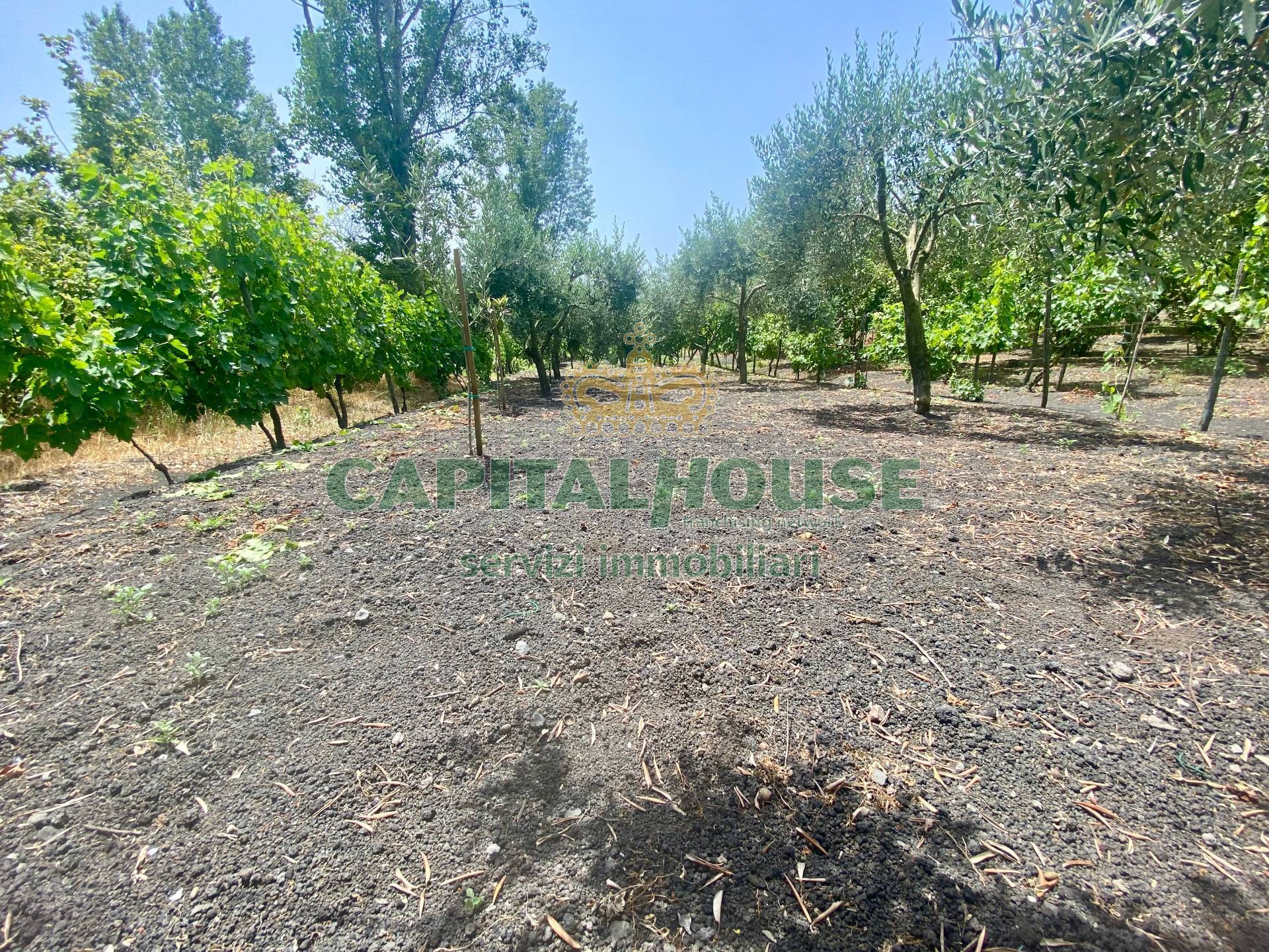 Terreno agricolo in vendita a Terzigno