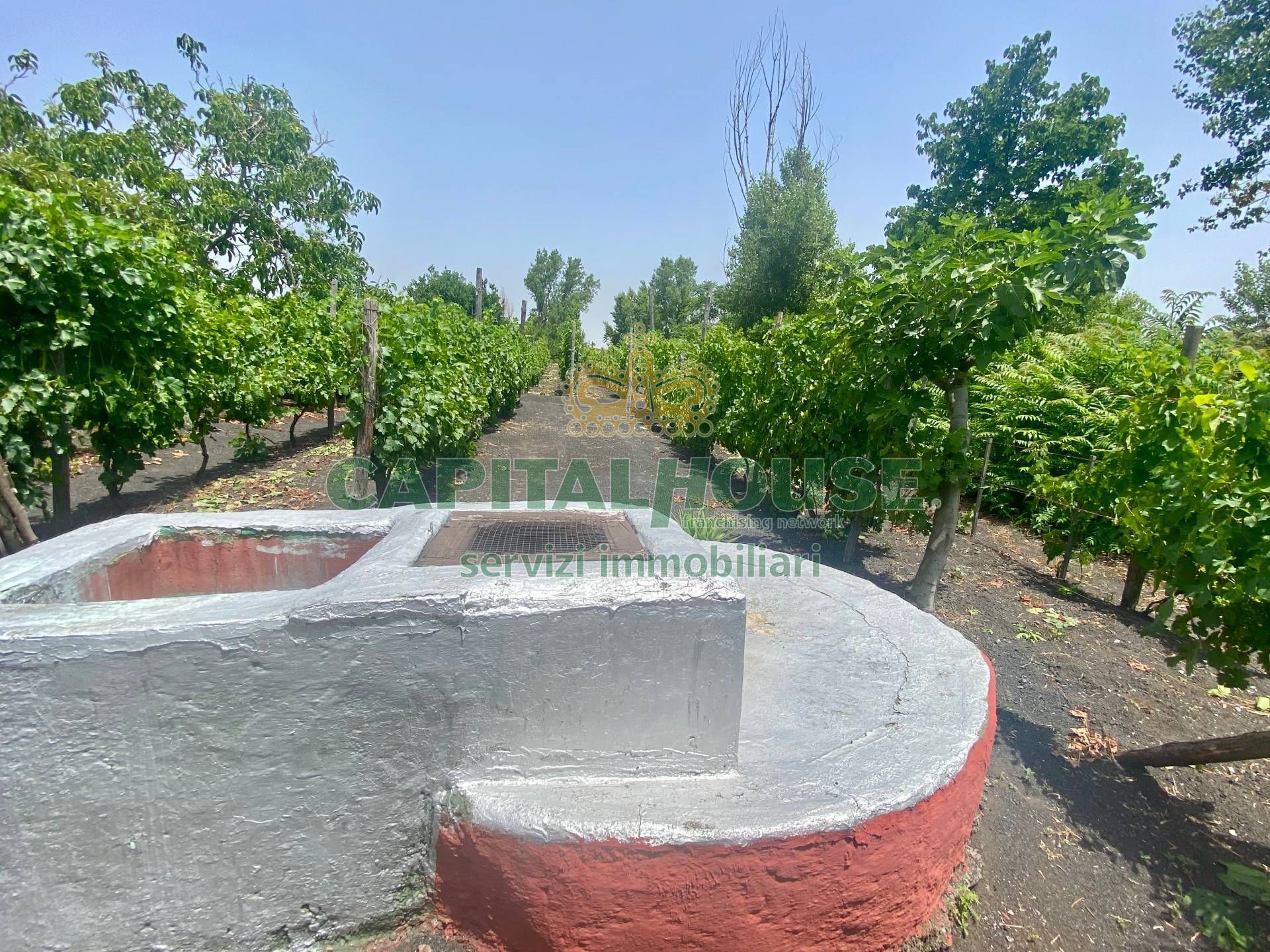 Terreno agricolo in vendita a Terzigno