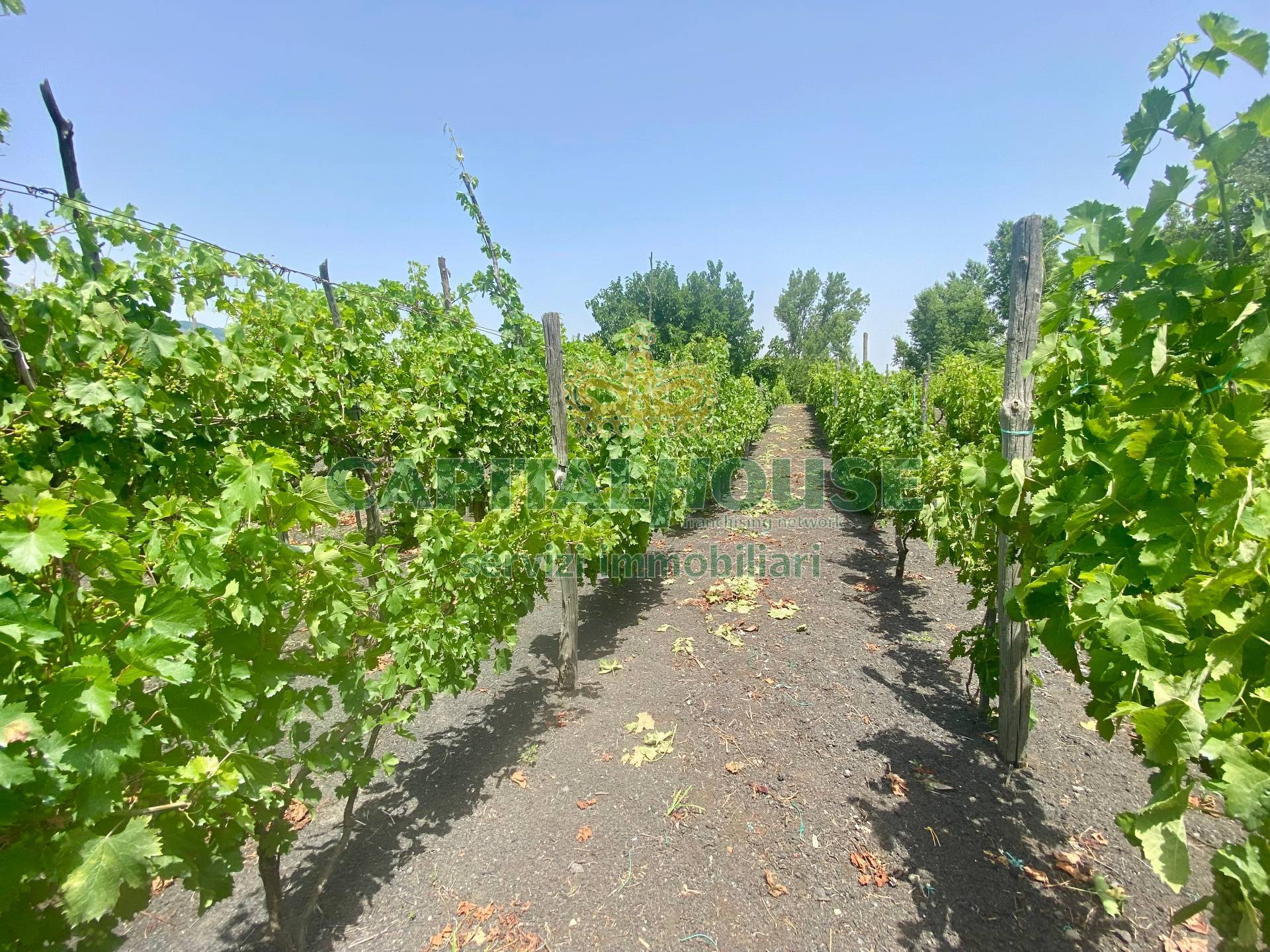 Terreno agricolo in vendita a Terzigno