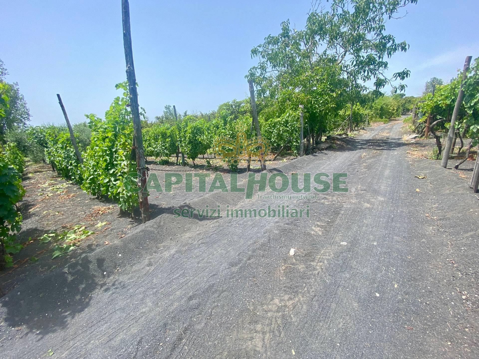 Terreno agricolo in vendita a Terzigno