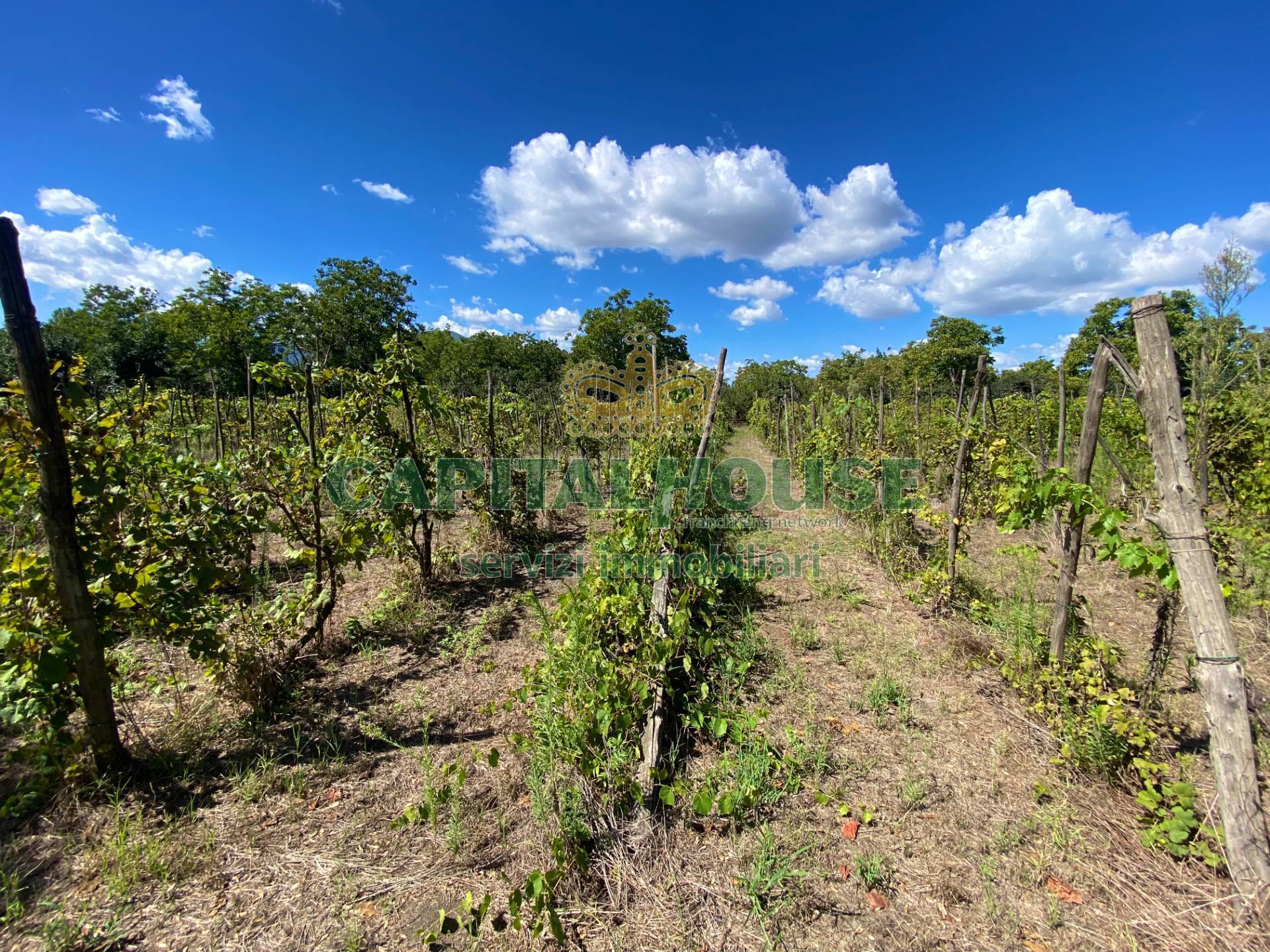 Terreno agricolo in vendita a Palma Campania