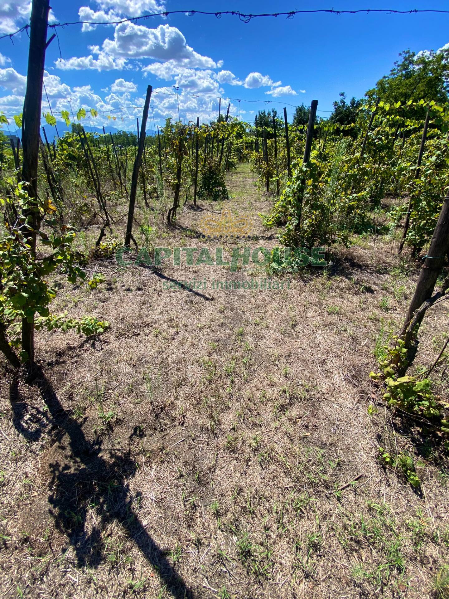 Terreno agricolo in vendita a Palma Campania