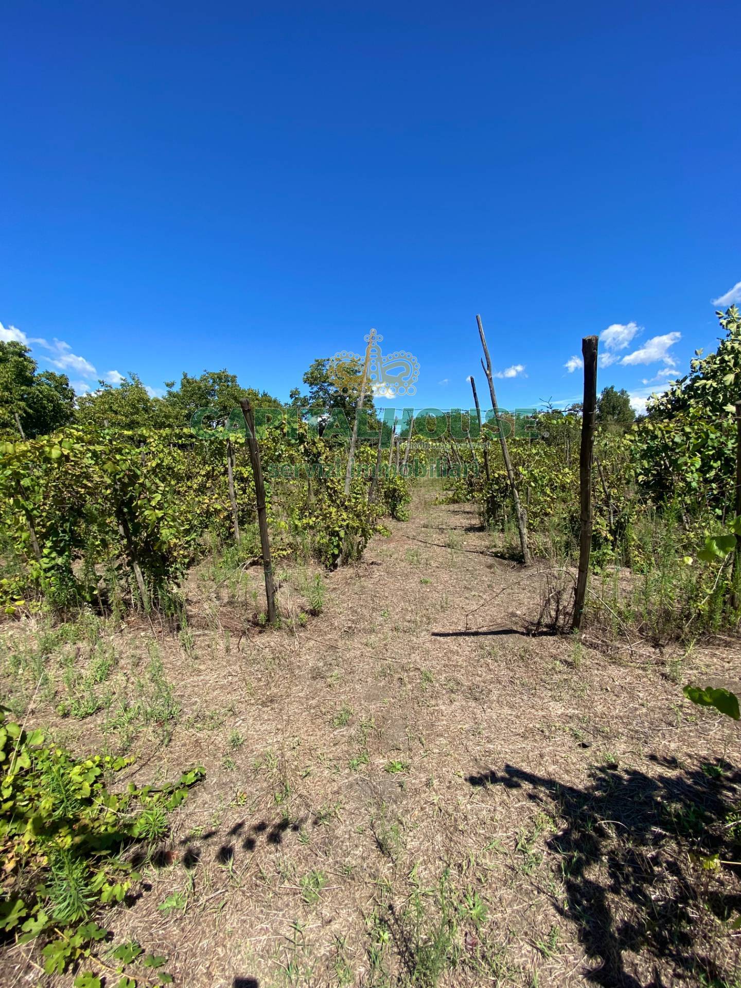 Terreno agricolo in vendita a Palma Campania