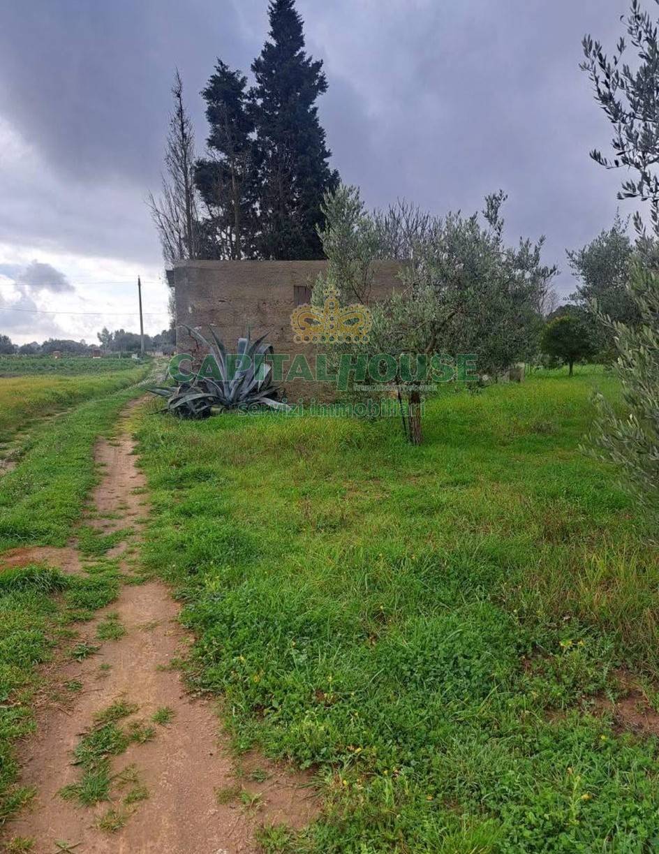Terreno agricolo in vendita a Palma Campania
