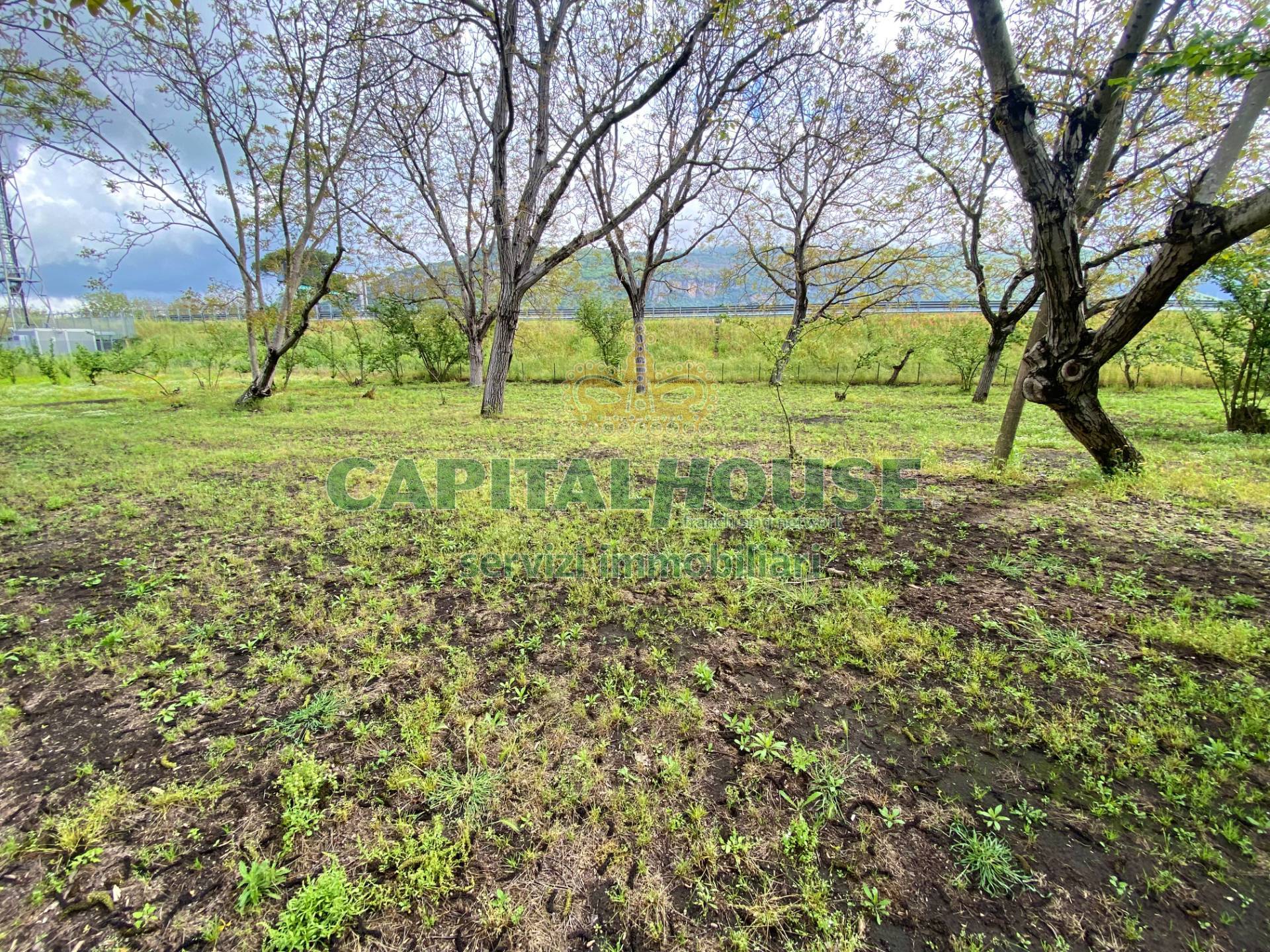 Terreno agricolo in vendita a Palma Campania