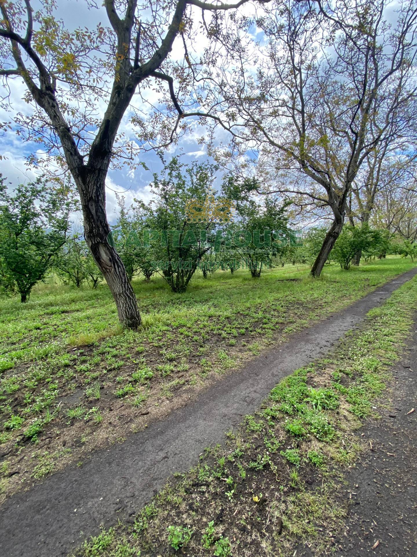 Terreno agricolo in vendita a Palma Campania