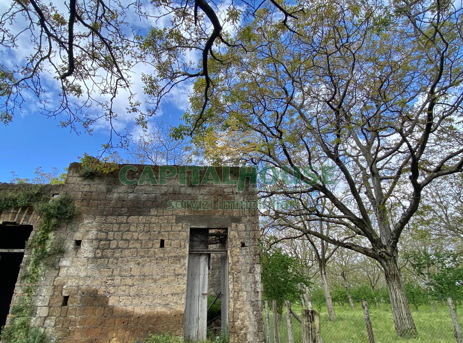 Terreno agricolo in vendita a Palma Campania