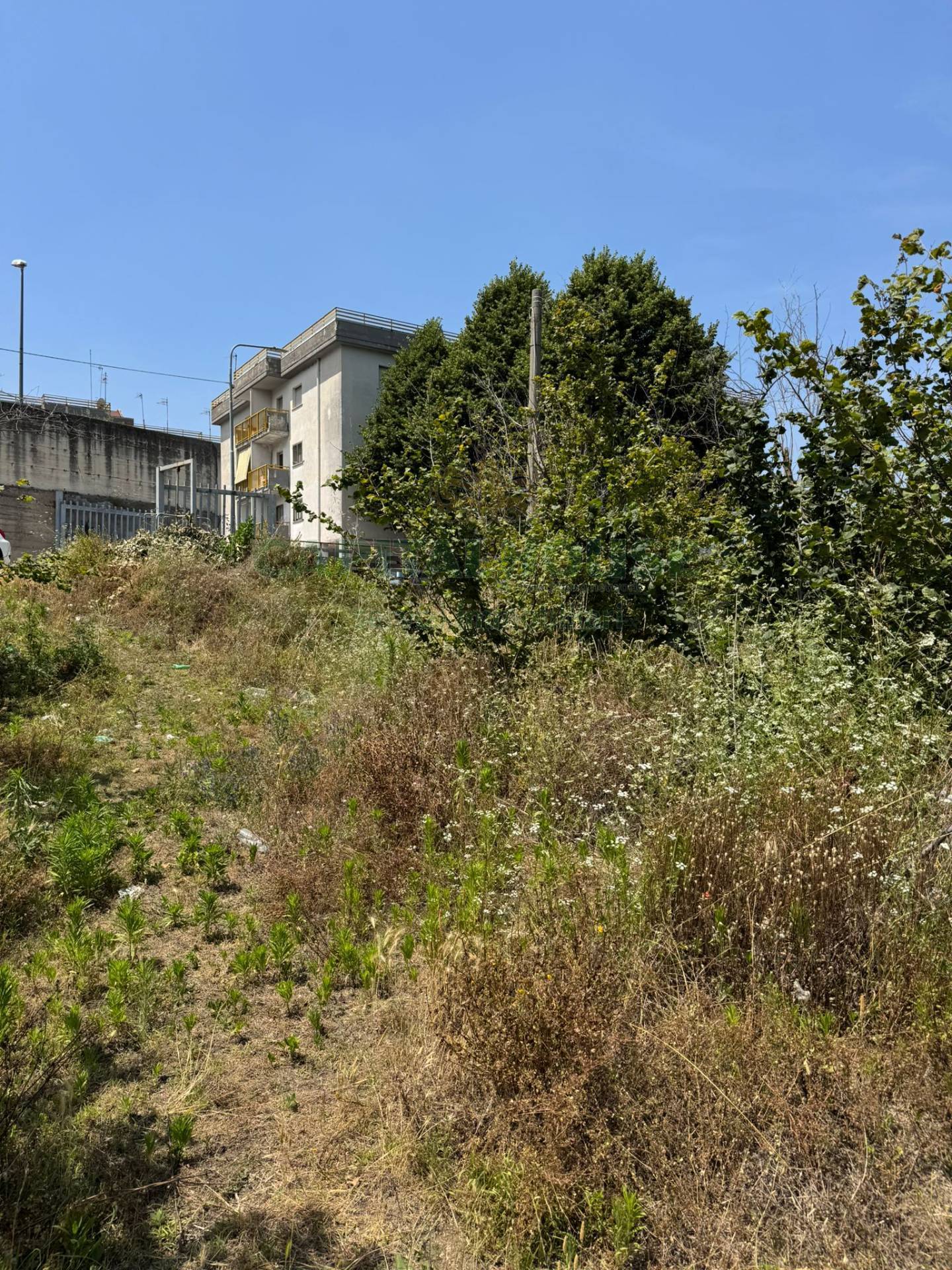 Terreno agricolo in vendita a Palma Campania