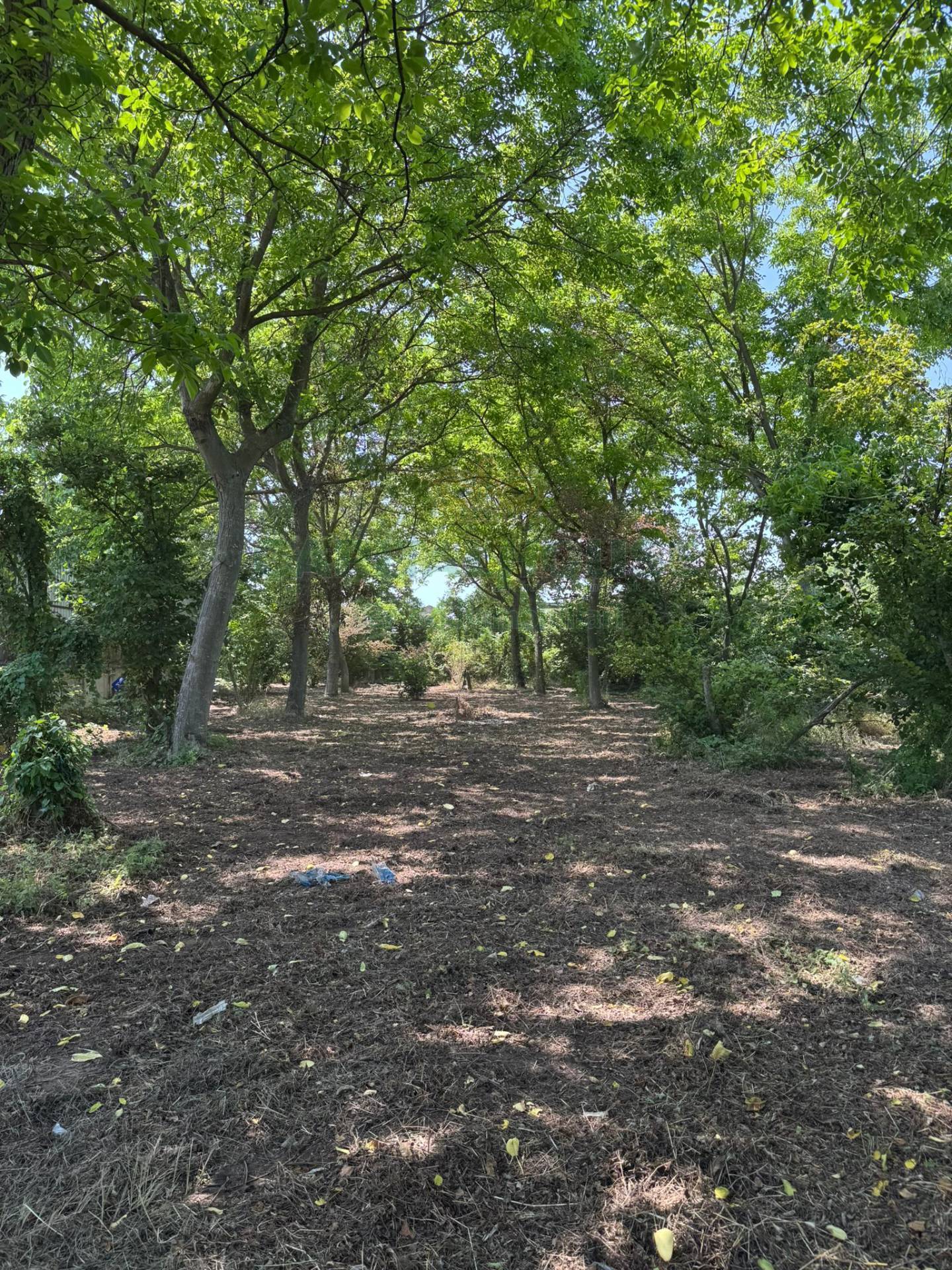 Terreno edificabile in vendita a Pago del Vallo di Lauro