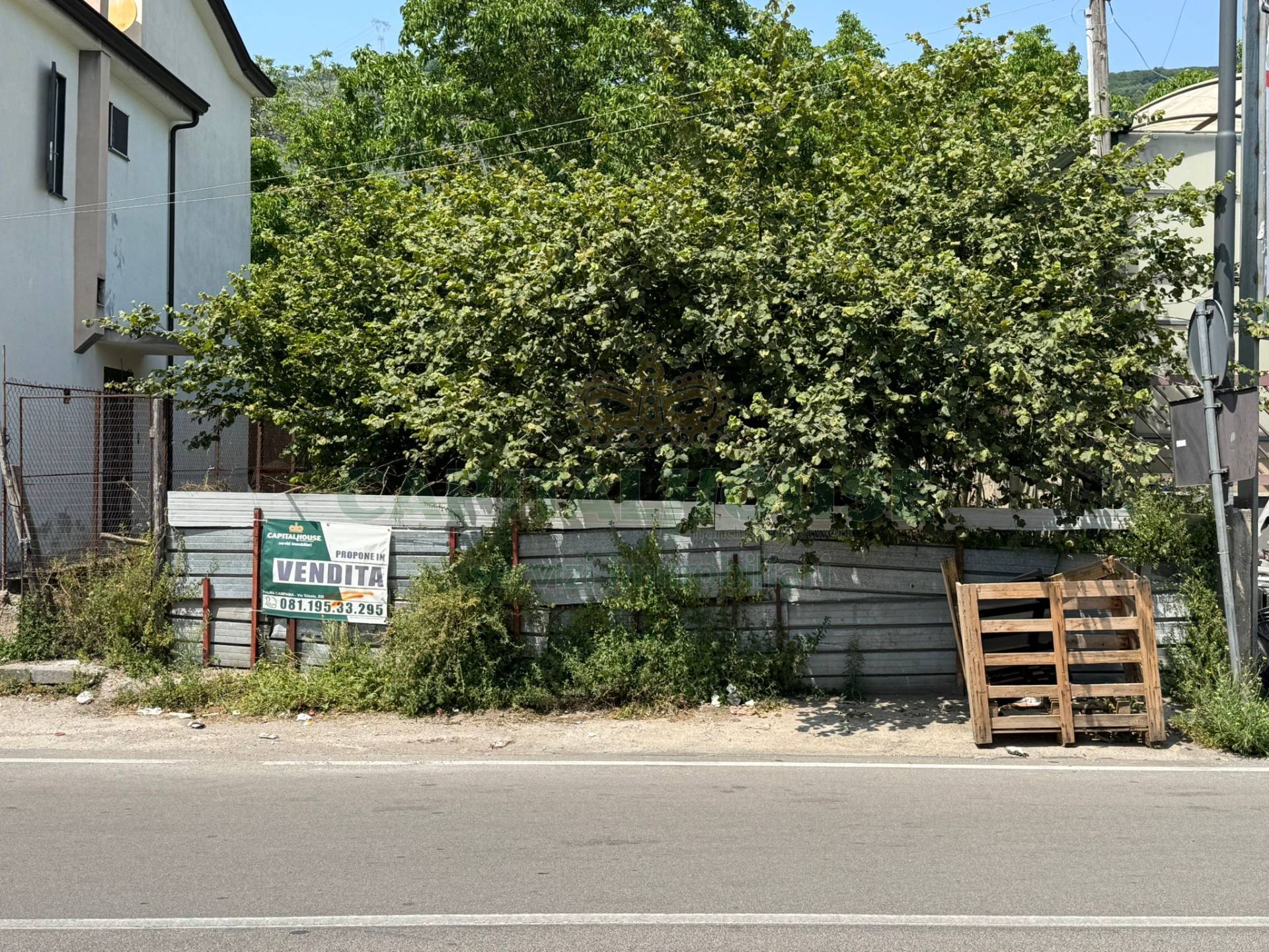 immagine annuncio 4 di 6