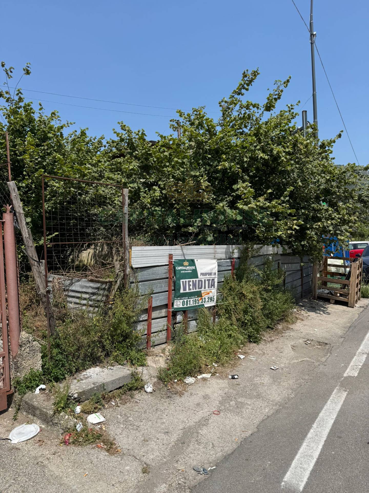 immagine annuncio 5 di 6